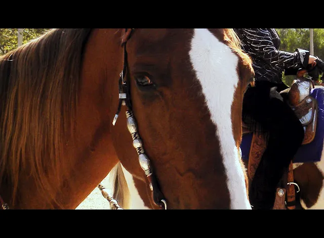 PWHA American Spirit - September 9, 2012