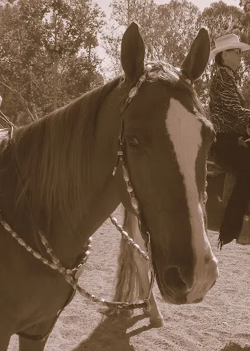 PWHA American Spirit - September 9, 2012