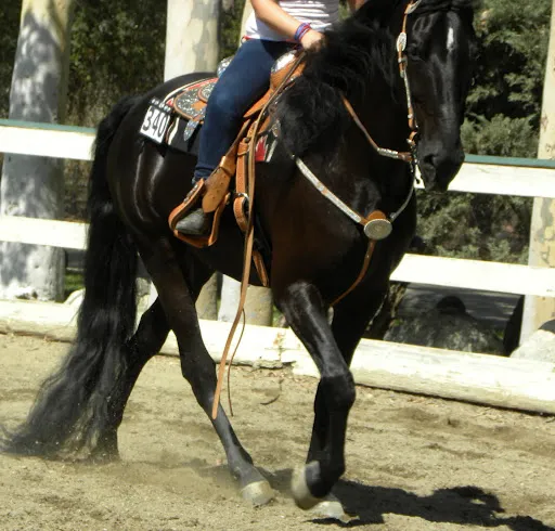 PWHA American Spirit - September 9, 2012