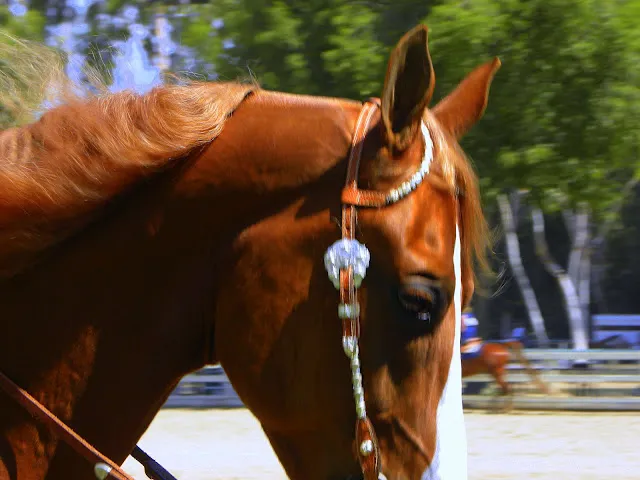 PWHA American Spirit - September 9, 2012