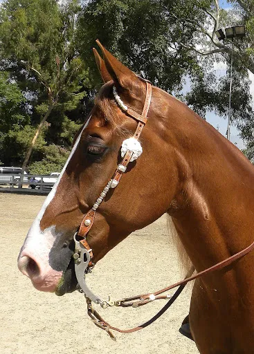 PWHA American Spirit - September 9, 2012