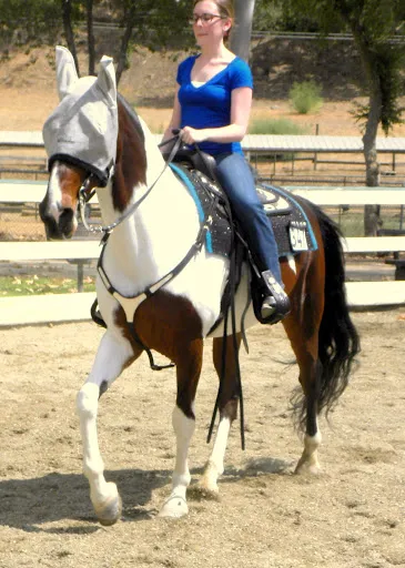 PWHA American Spirit - September 9, 2012