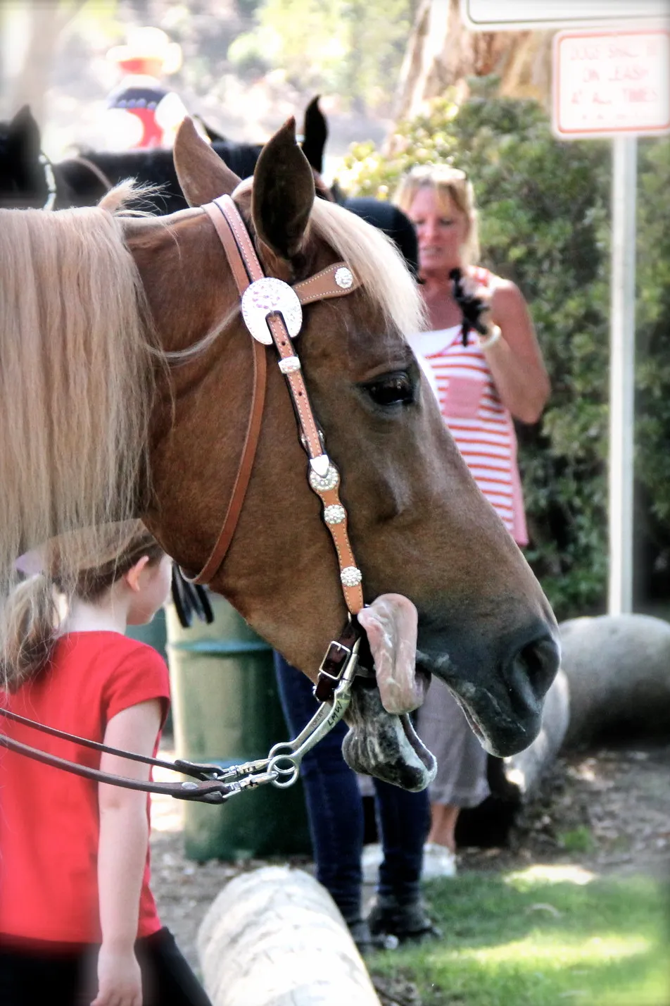 PWHA American Spirit - September 9, 2012