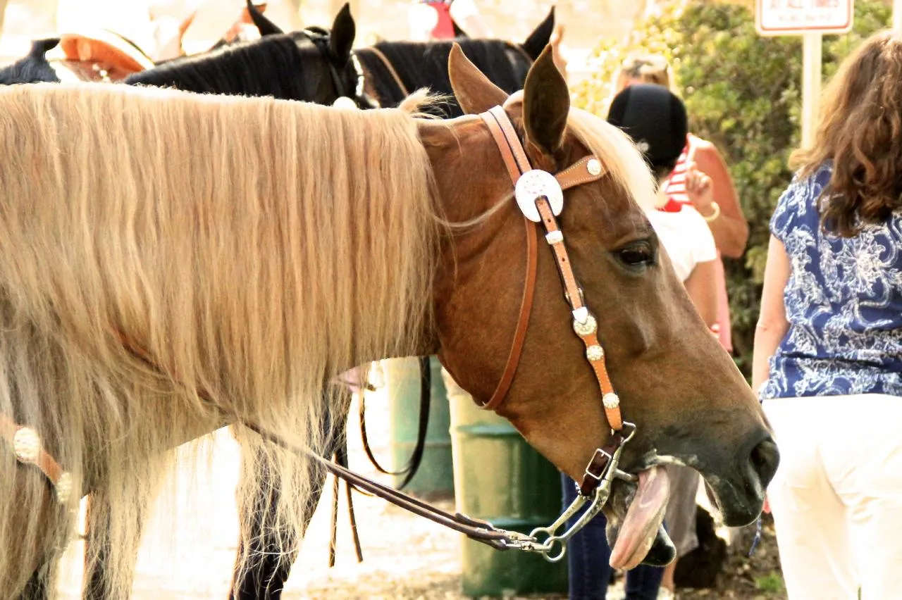 PWHA American Spirit - September 9, 2012