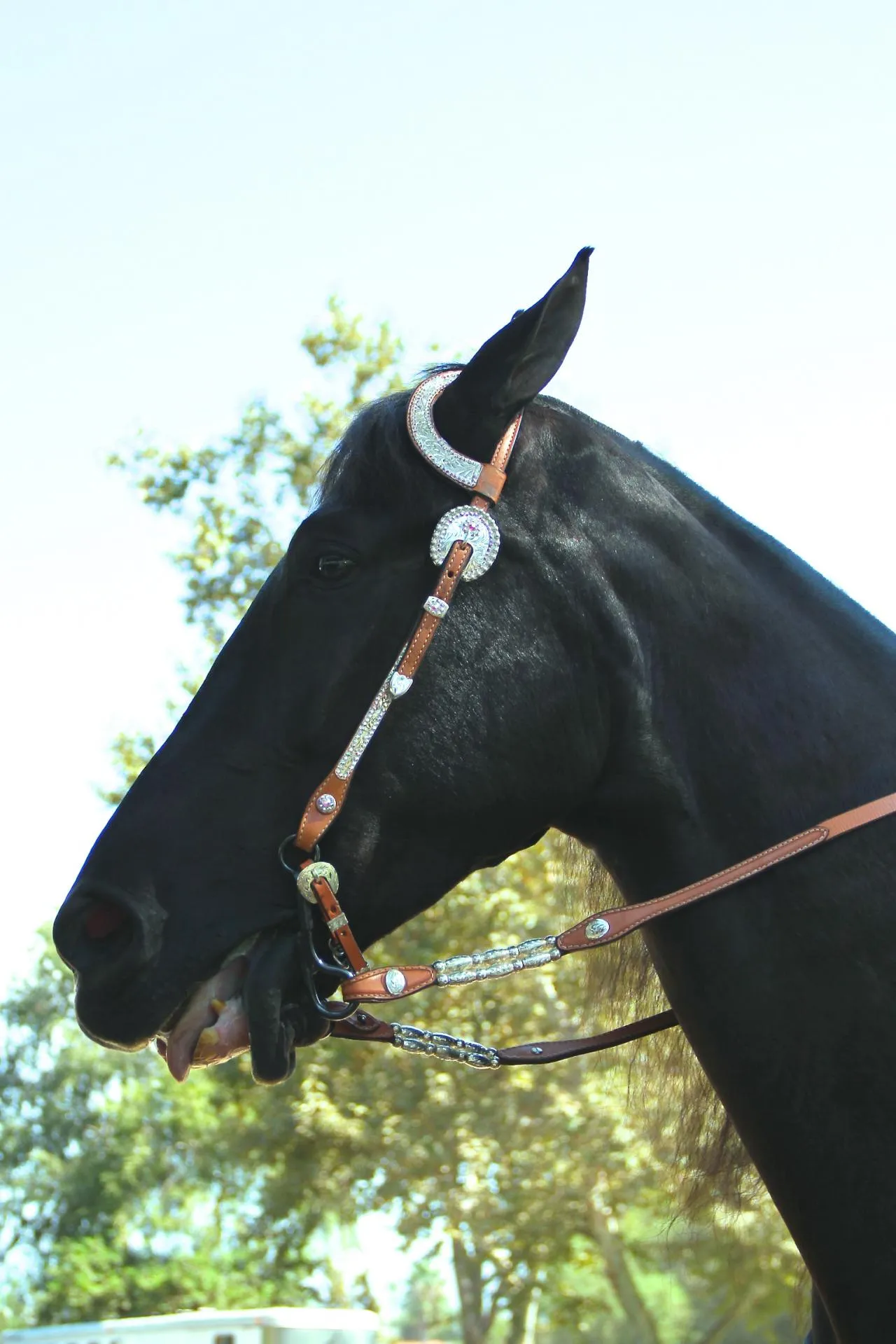 PWHA American Spirit - September 9, 2012