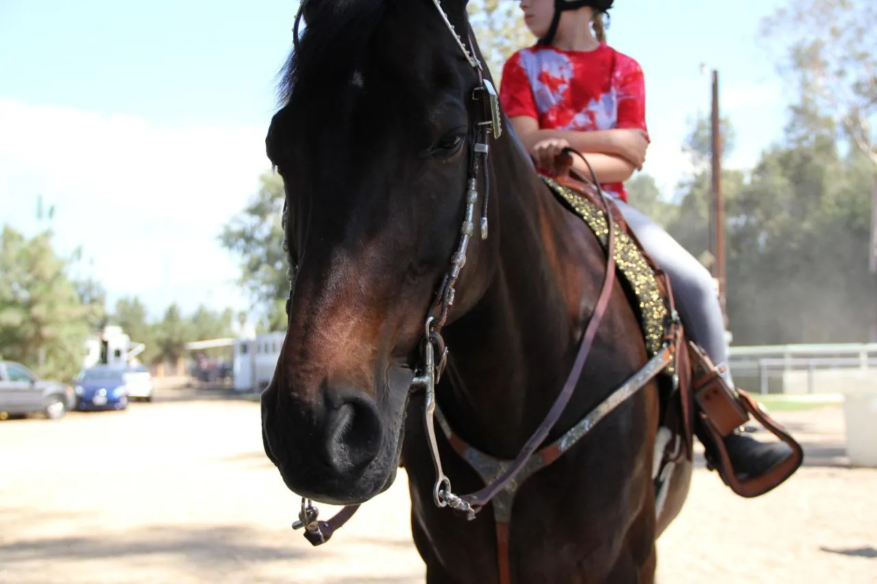 PWHA American Spirit - September 9, 2012