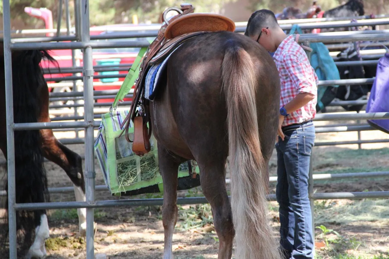 PWHA American Spirit - September 9, 2012