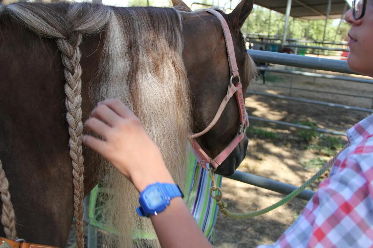 PWHA American Spirit - September 9, 2012