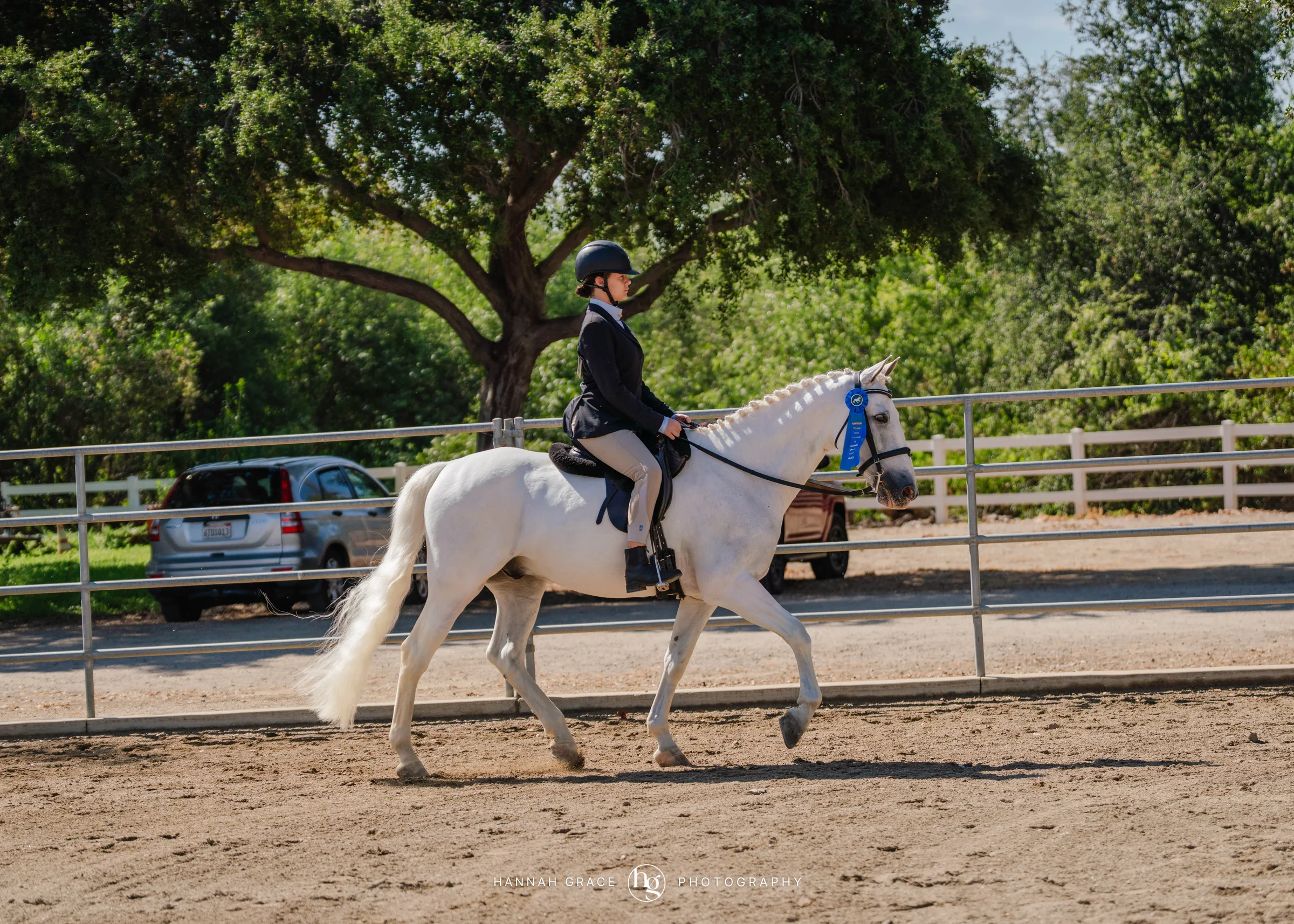 PWHA Spring Premier Gaited & All Breed Show
