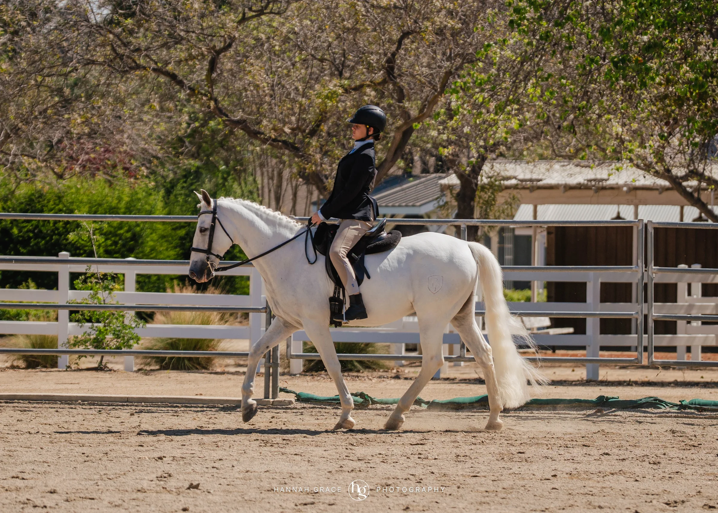 PWHA Spring Premier Gaited & All Breed Show