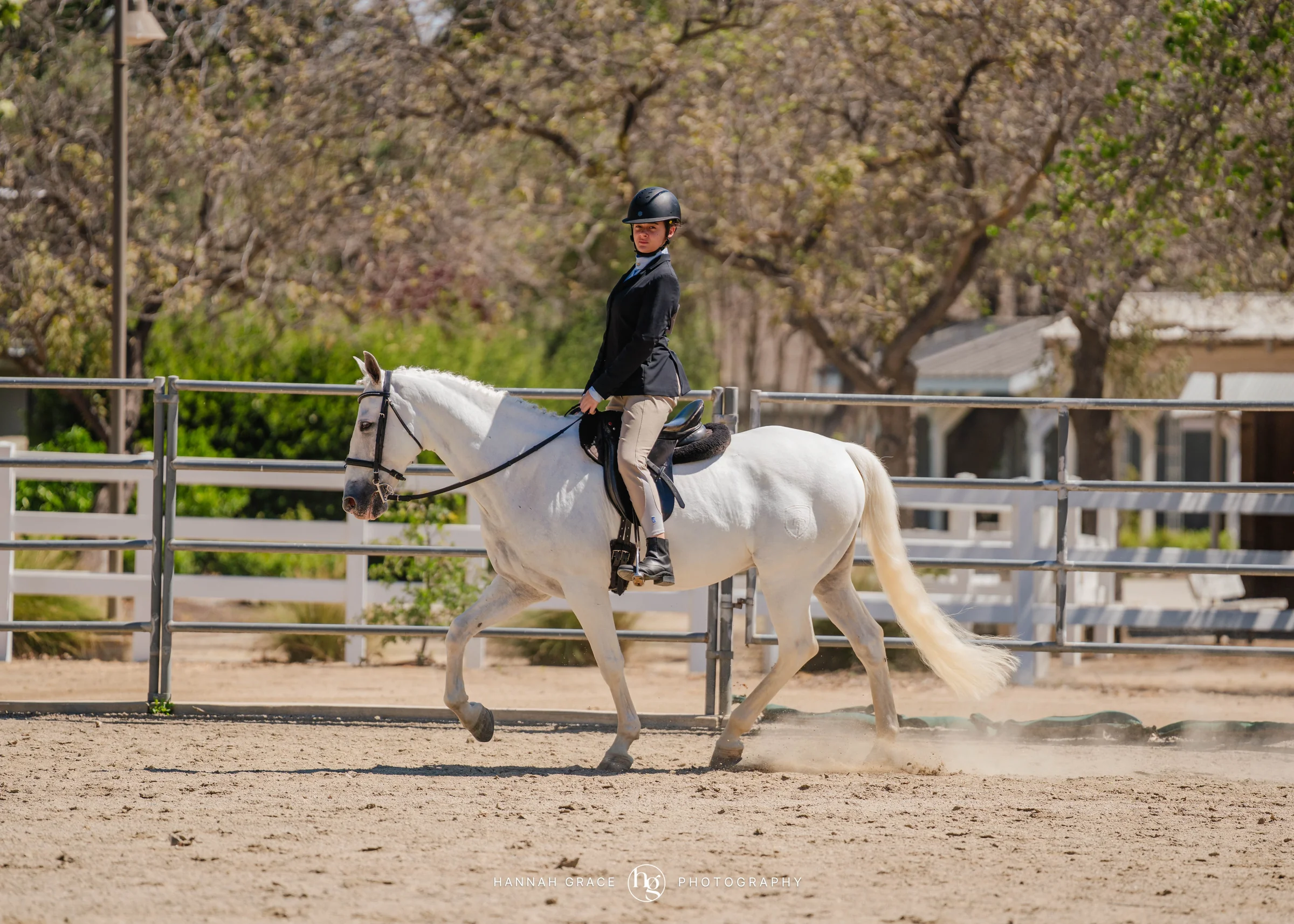 PWHA Spring Premier Gaited & All Breed Show