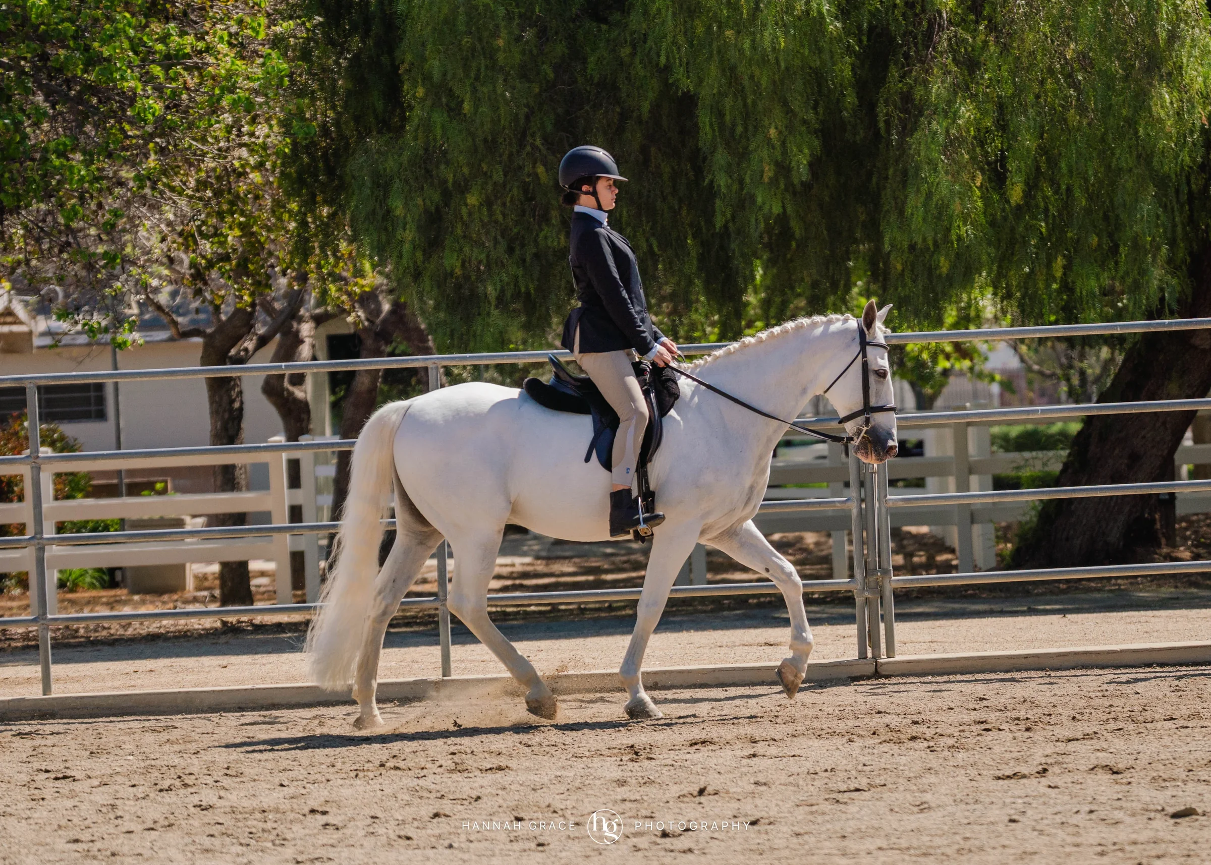 PWHA Spring Premier Gaited & All Breed Show