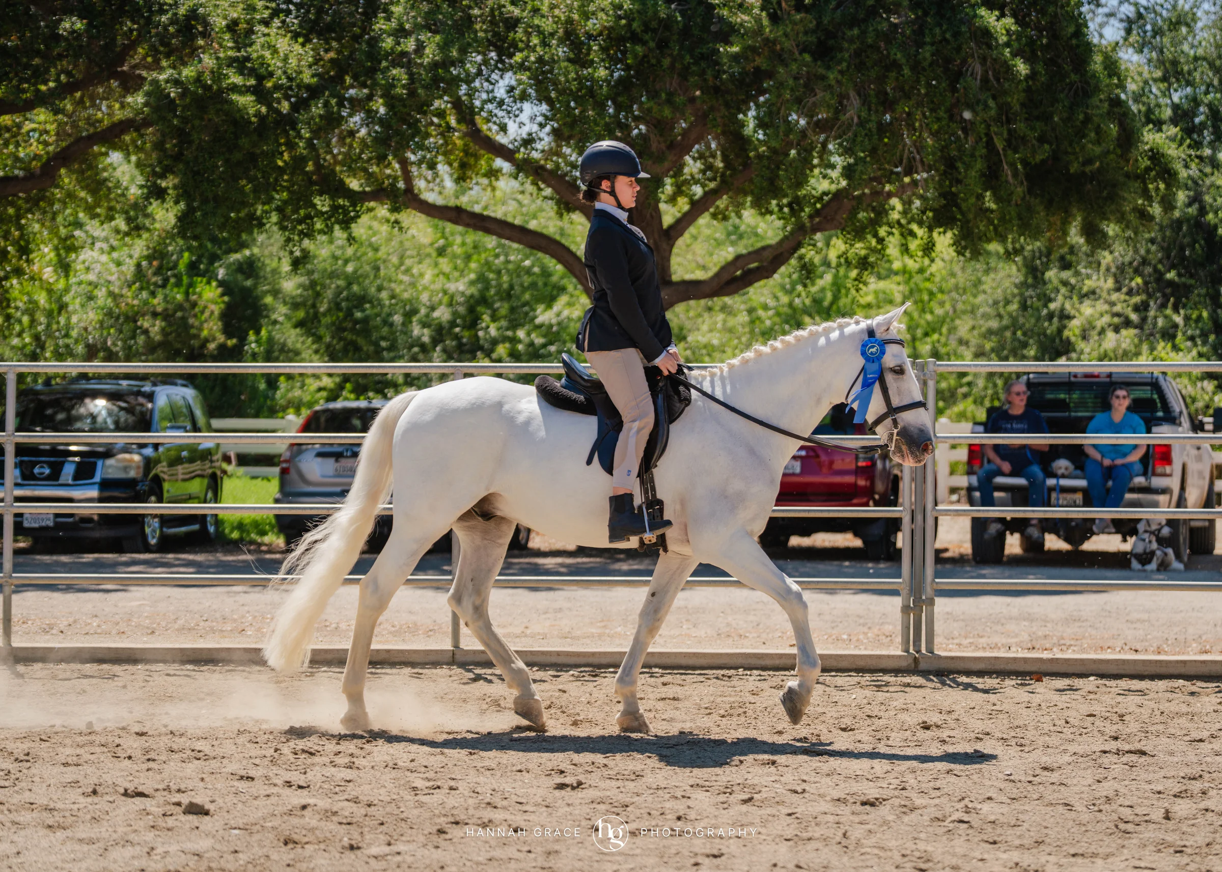 PWHA Spring Premier Gaited & All Breed Show