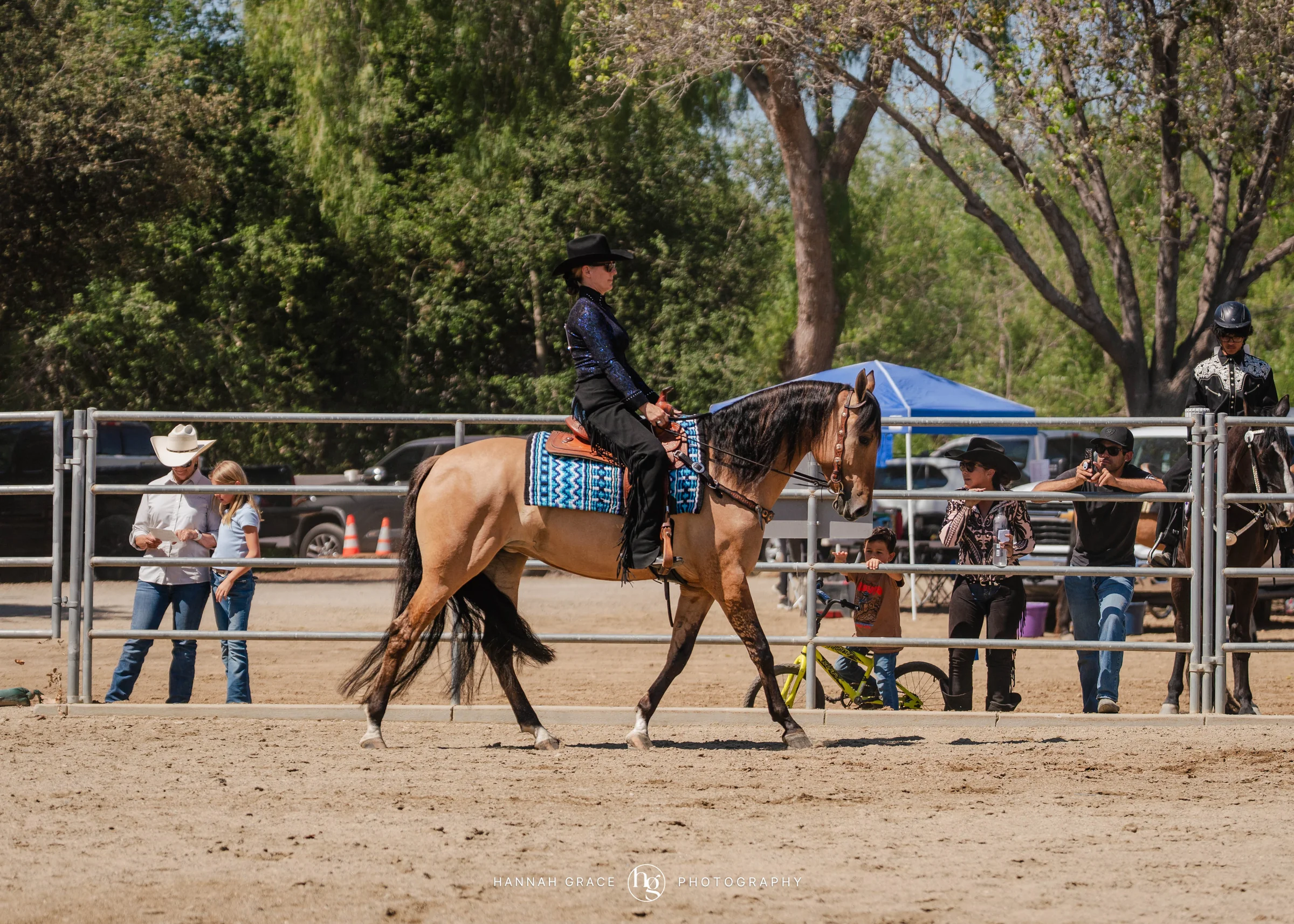 PWHA Spring Premier Gaited & All Breed Show