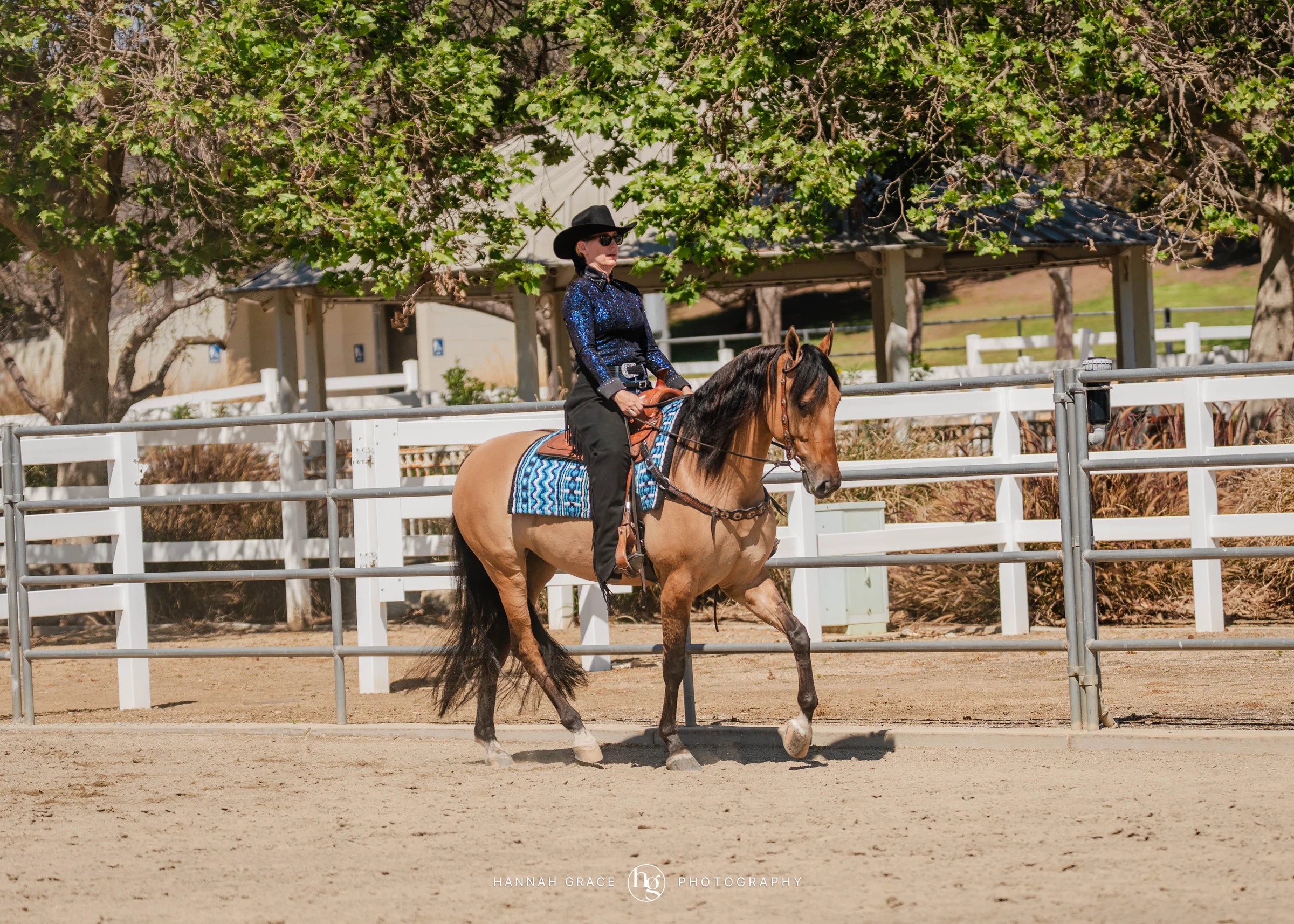 PWHA Spring Premier Gaited & All Breed Show