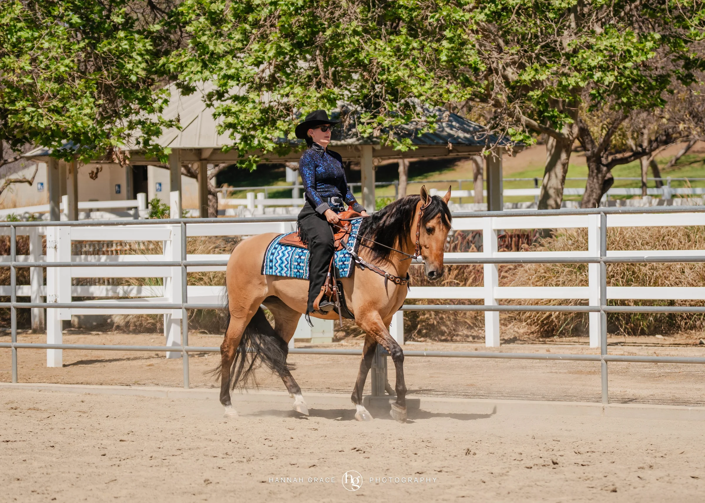 PWHA Spring Premier Gaited & All Breed Show