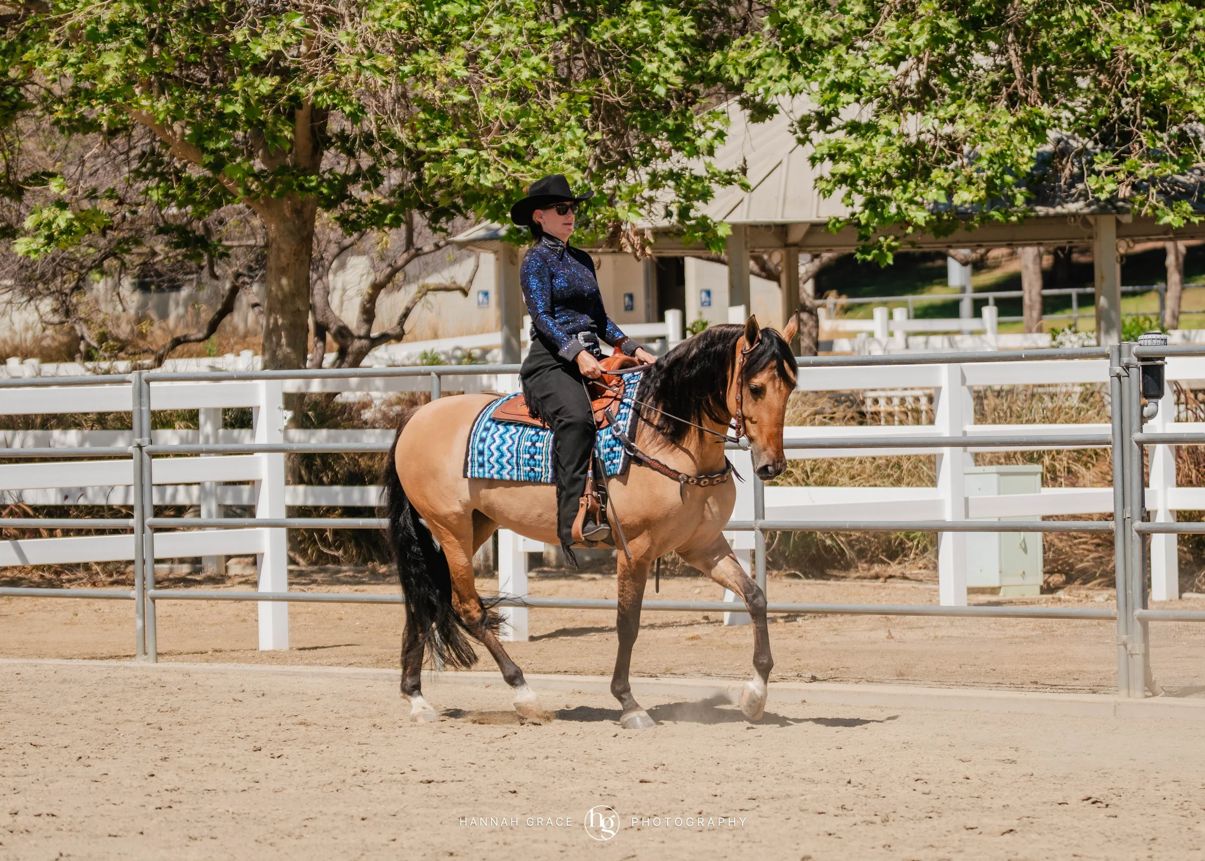 PWHA Spring Premier Gaited & All Breed Show
