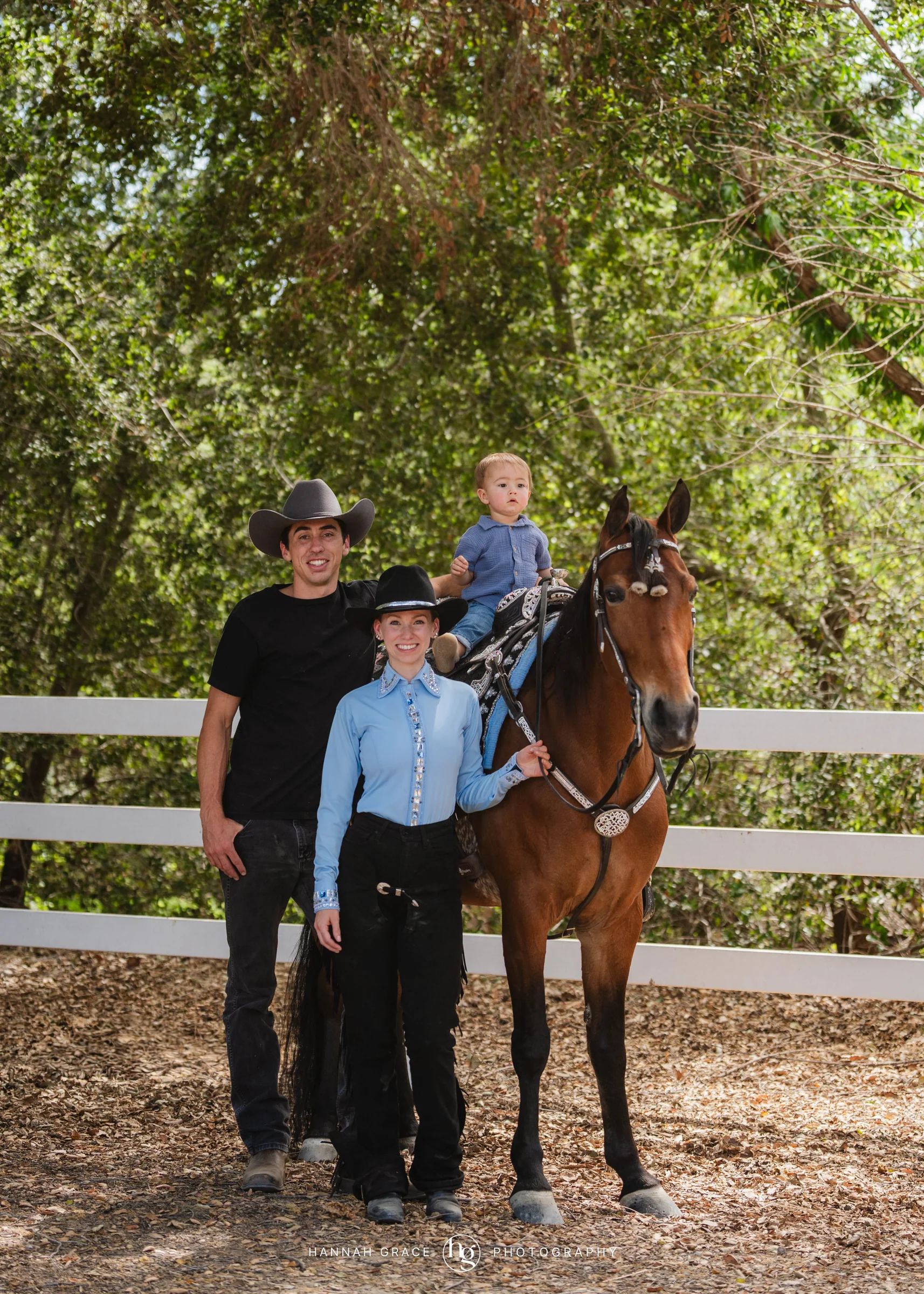 PWHA Spring Premier Gaited & All Breed Show