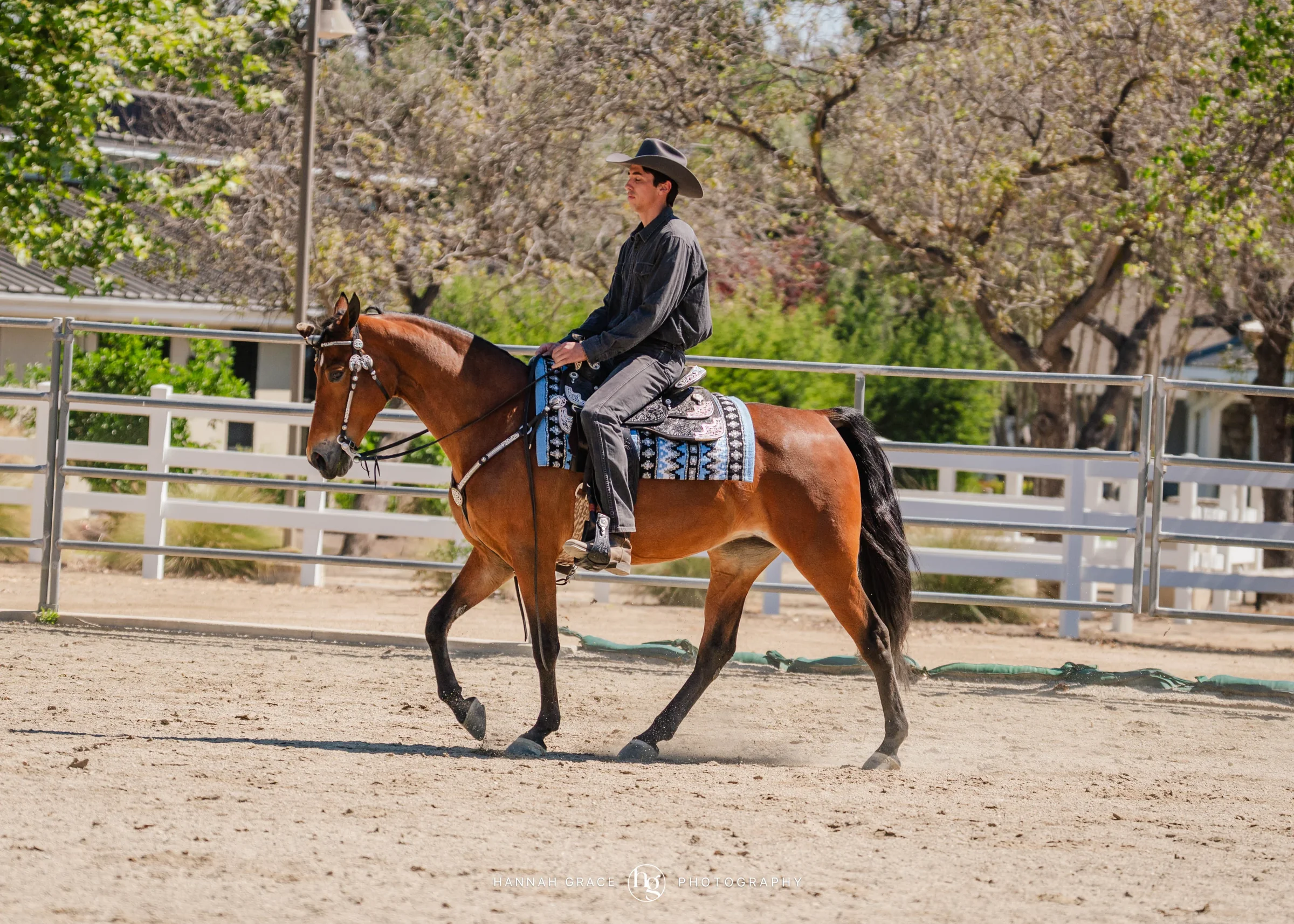 PWHA Spring Premier Gaited & All Breed Show