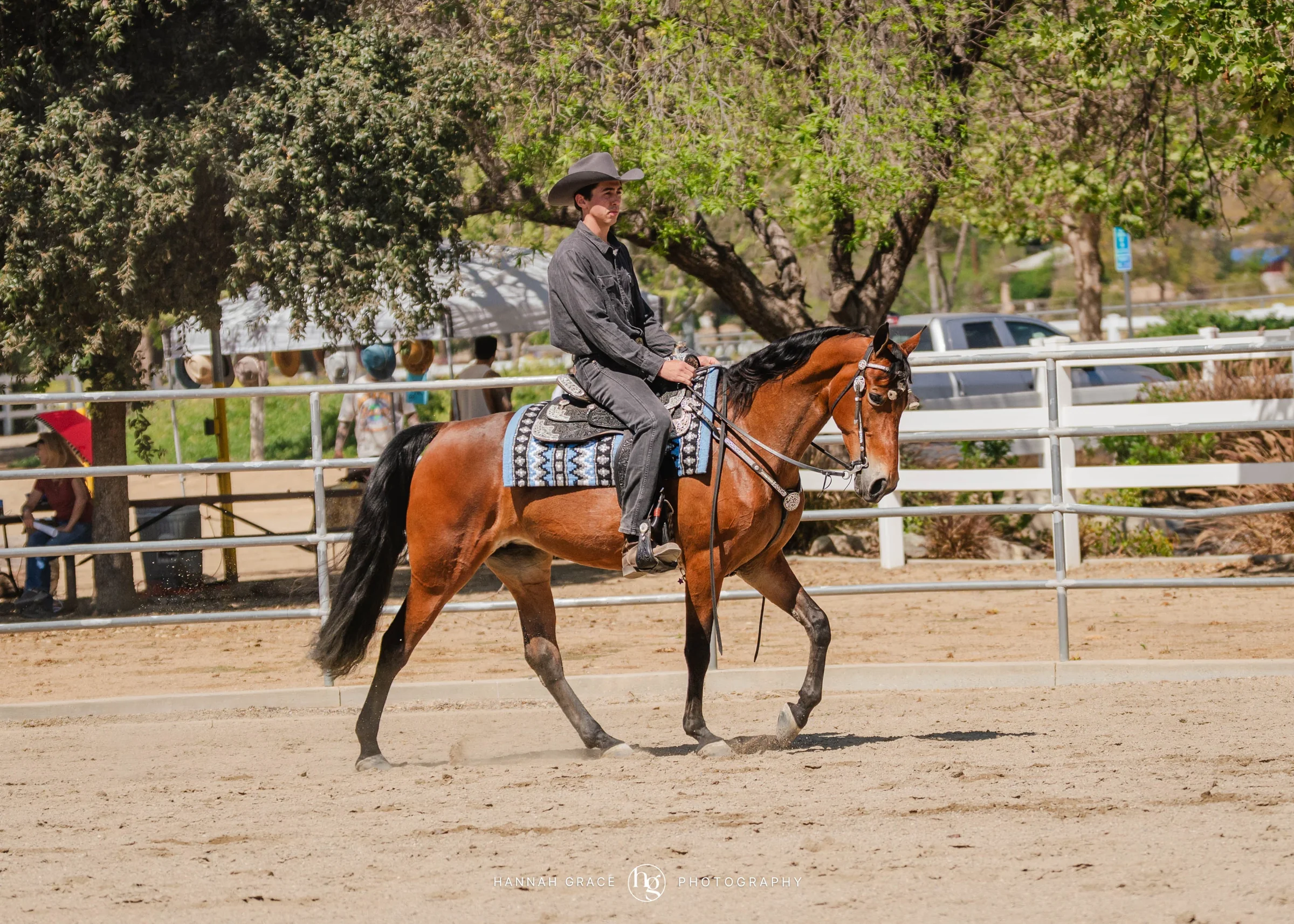 PWHA Spring Premier Gaited & All Breed Show