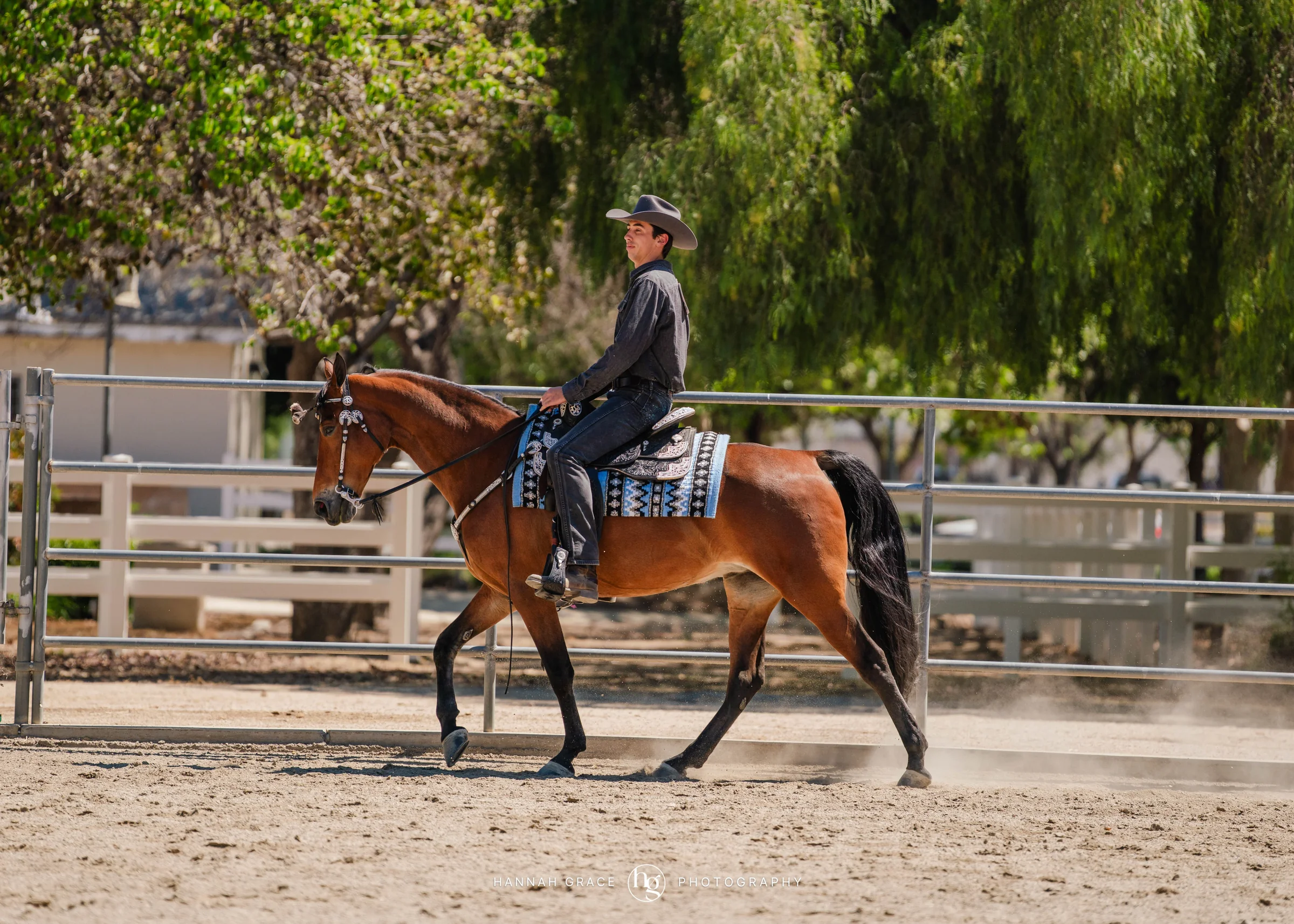 PWHA Spring Premier Gaited & All Breed Show