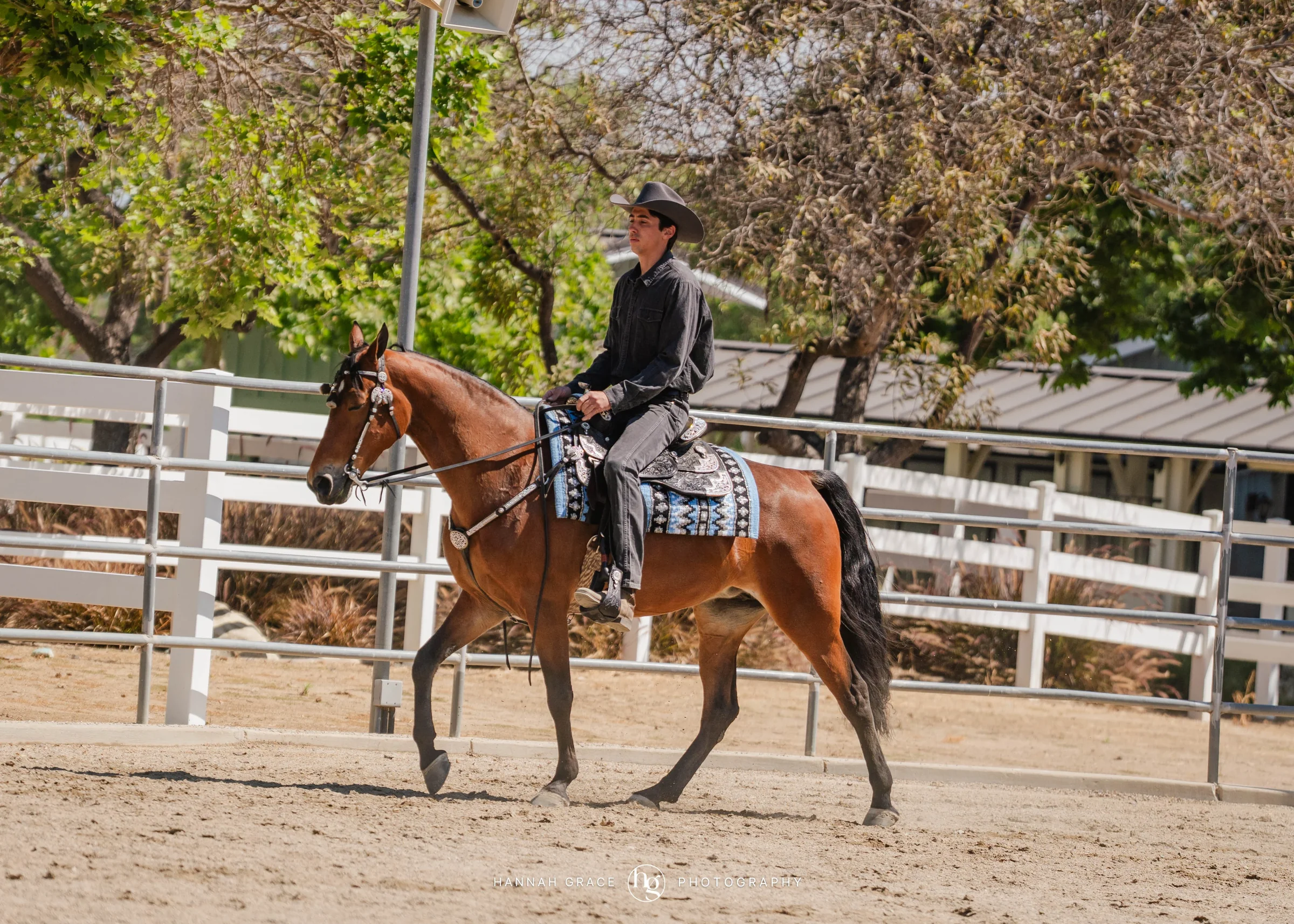 PWHA Spring Premier Gaited & All Breed Show