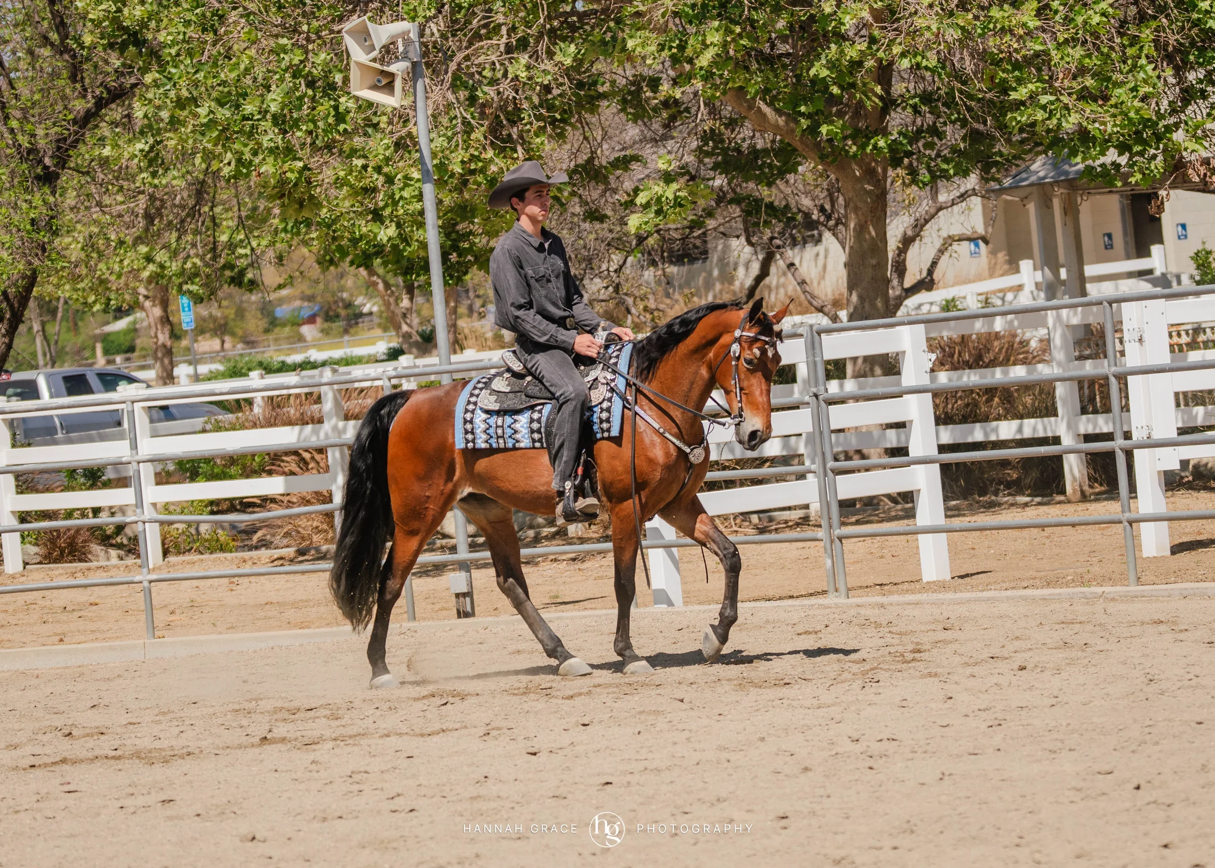 PWHA Spring Premier Gaited & All Breed Show