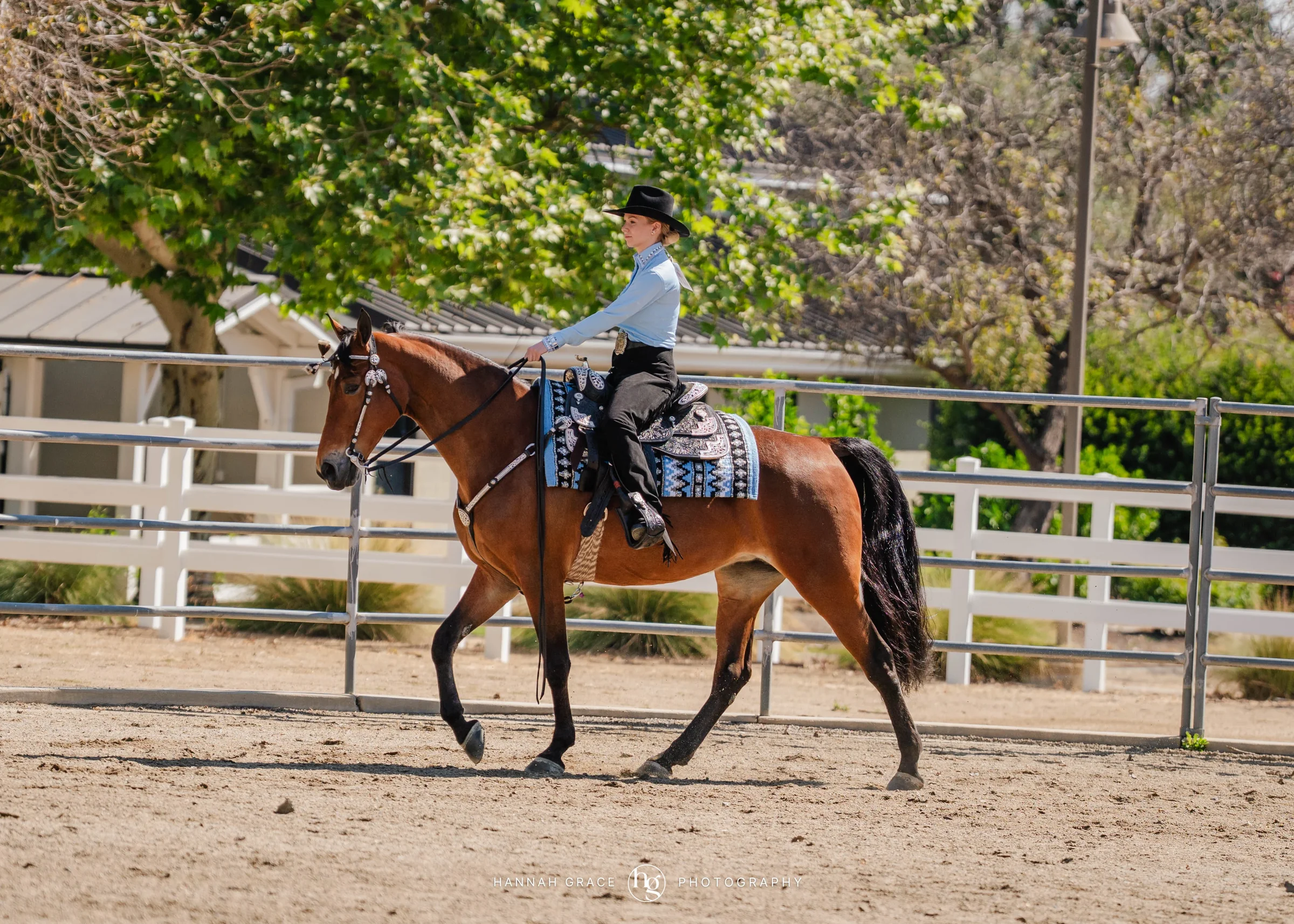 PWHA Spring Premier Gaited & All Breed Show