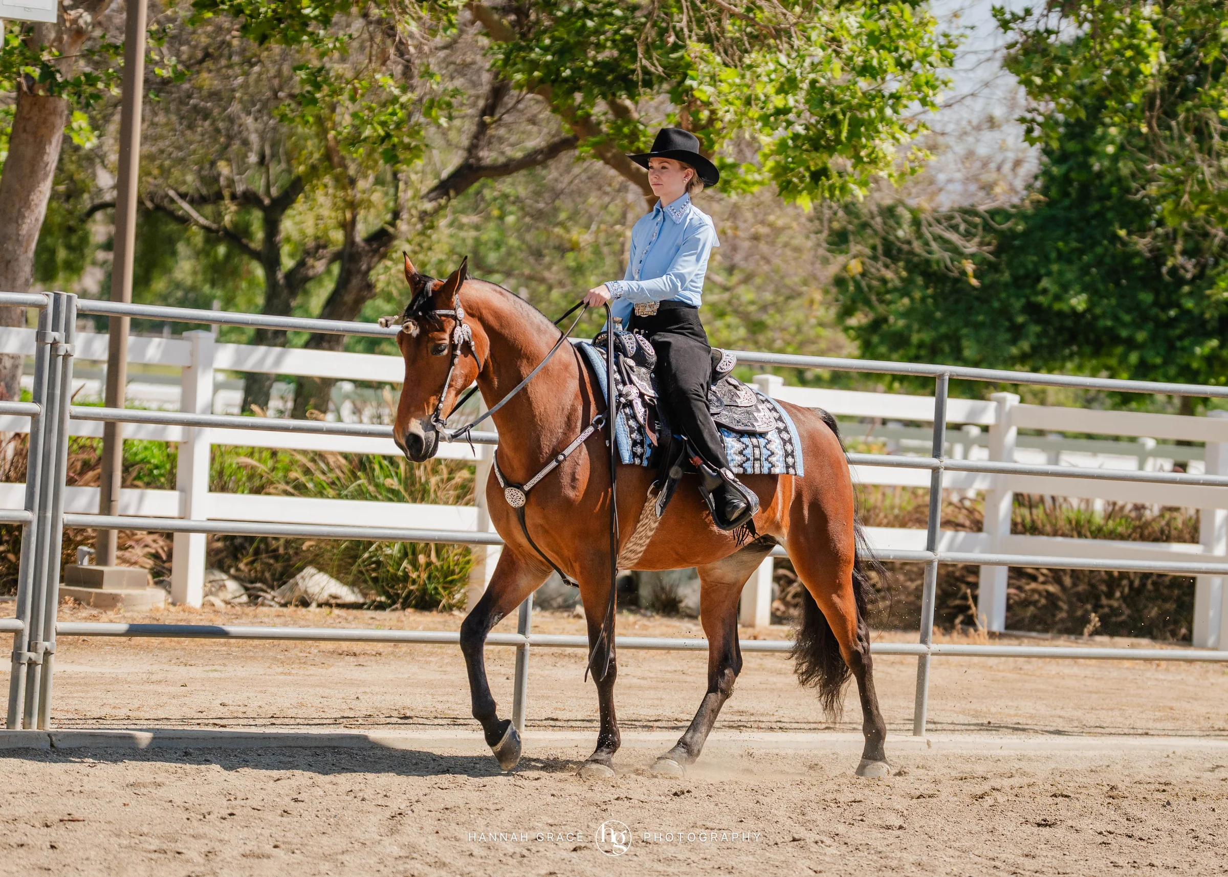 PWHA Spring Premier Gaited & All Breed Show