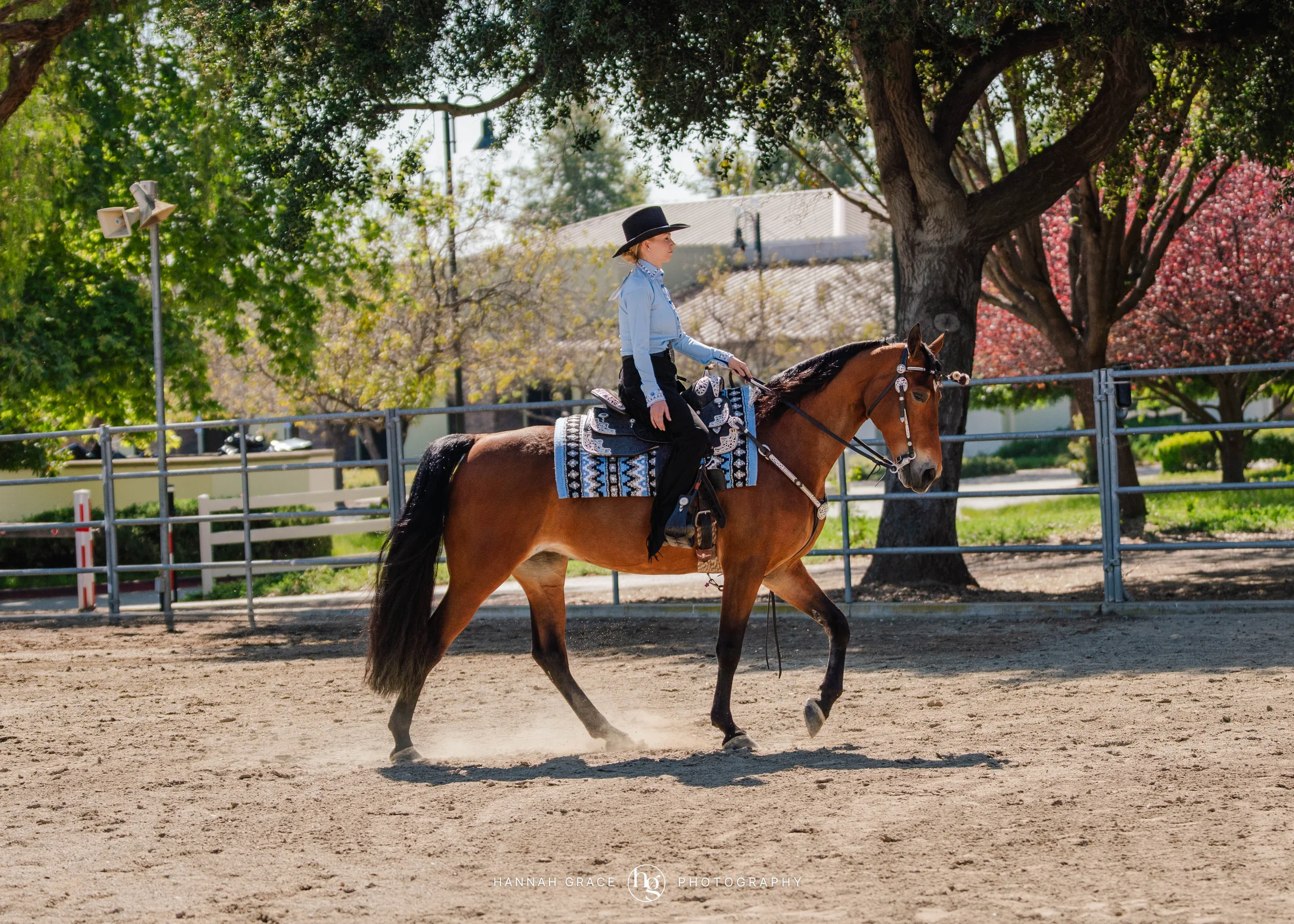 PWHA Spring Premier Gaited & All Breed Show