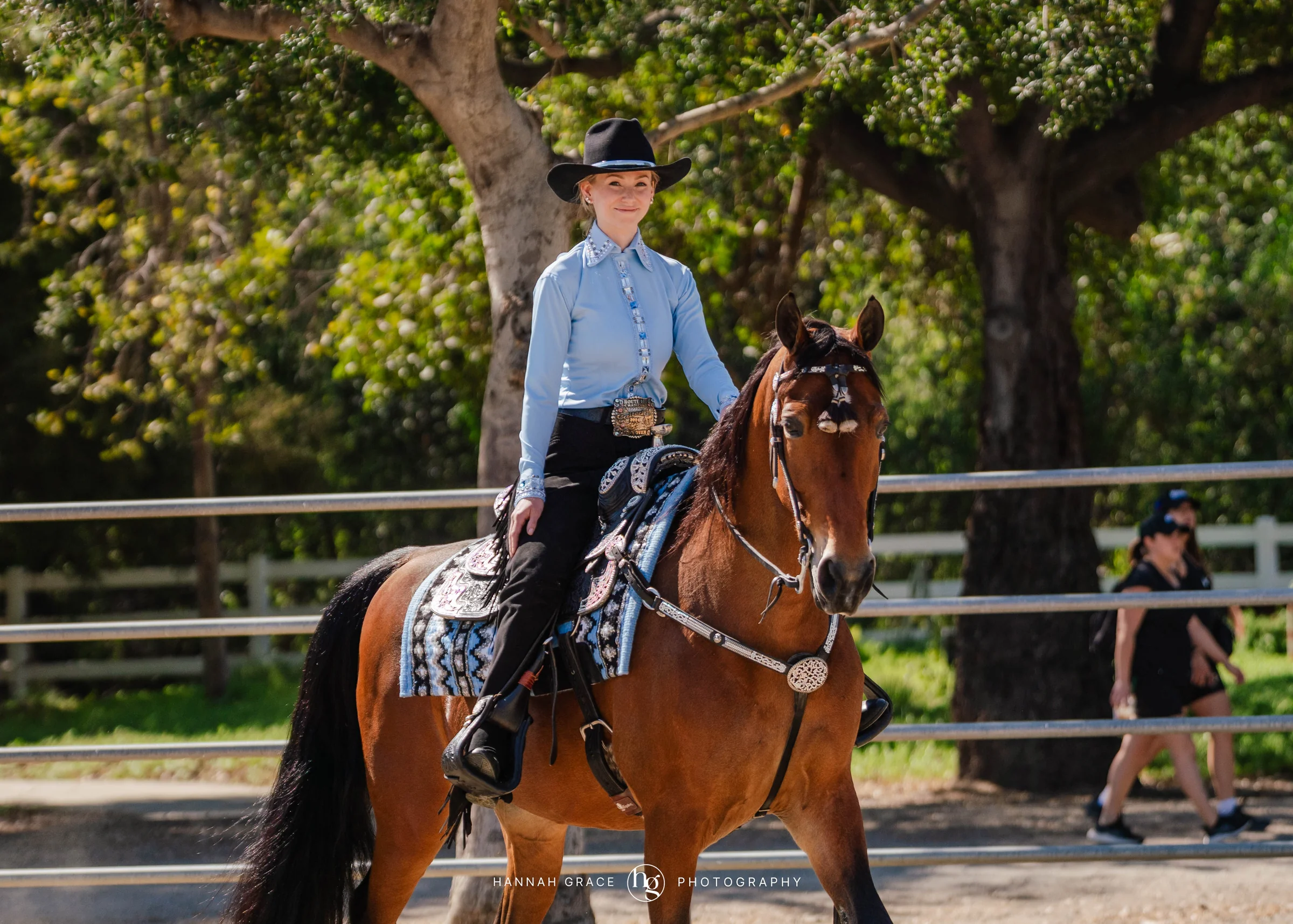 PWHA Spring Premier Gaited & All Breed Show