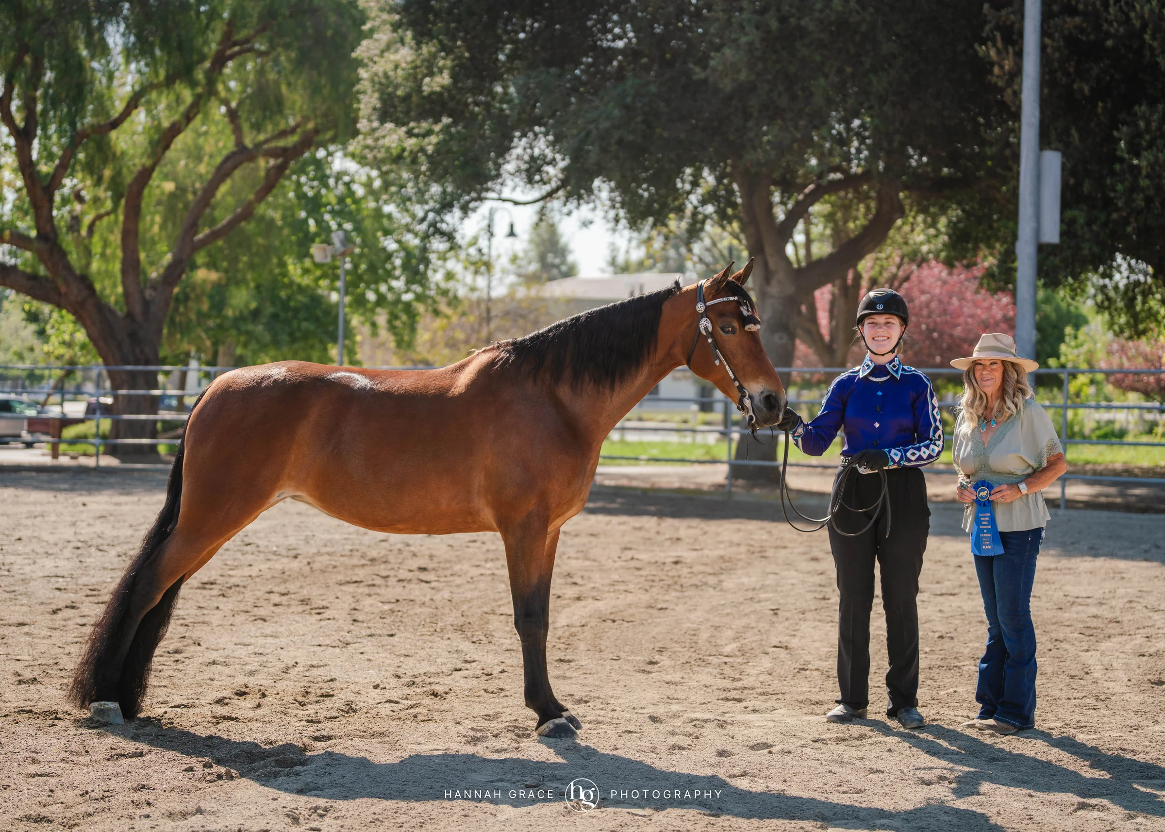PWHA Spring Premier Gaited & All Breed Show