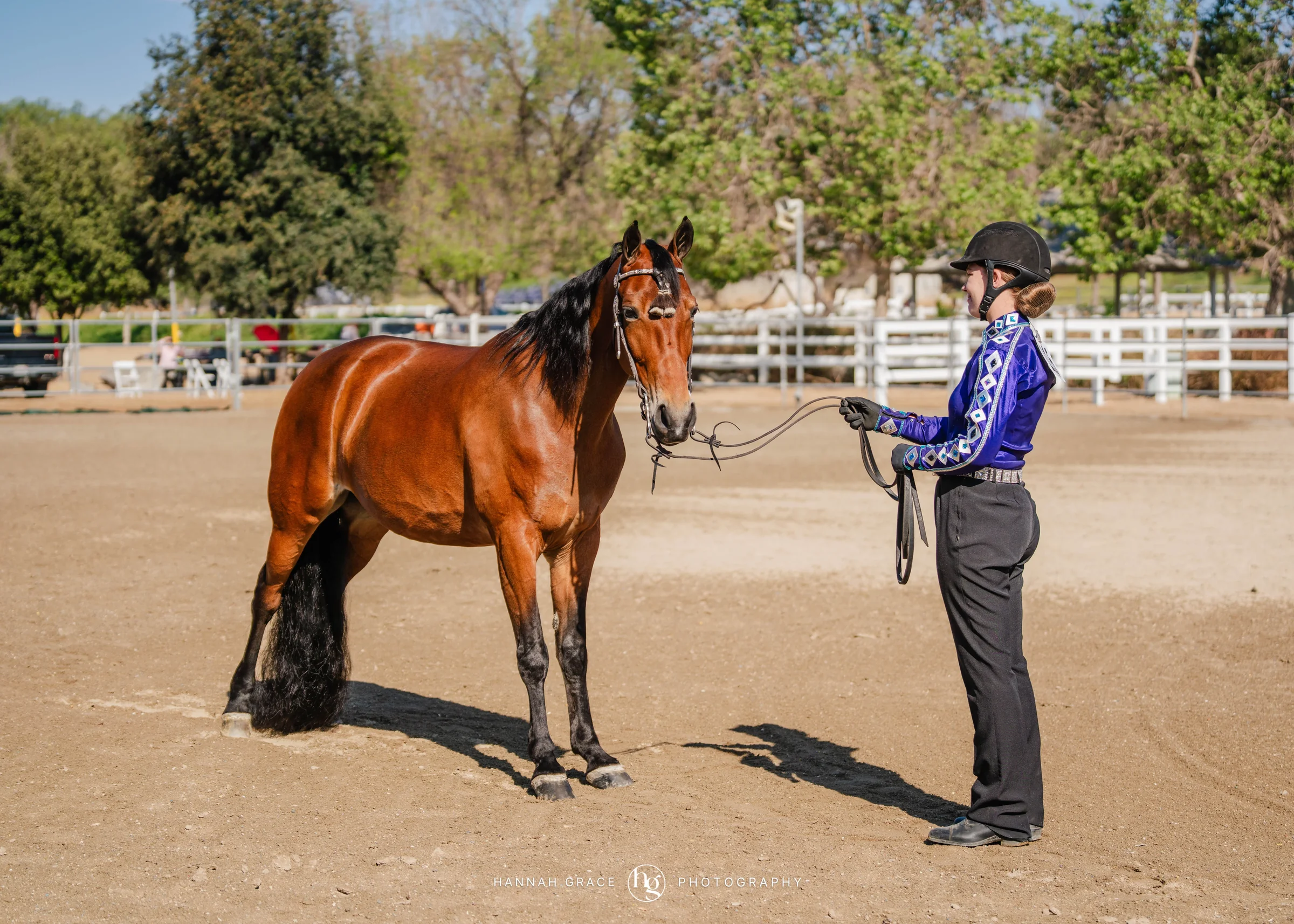 PWHA Spring Premier Gaited & All Breed Show