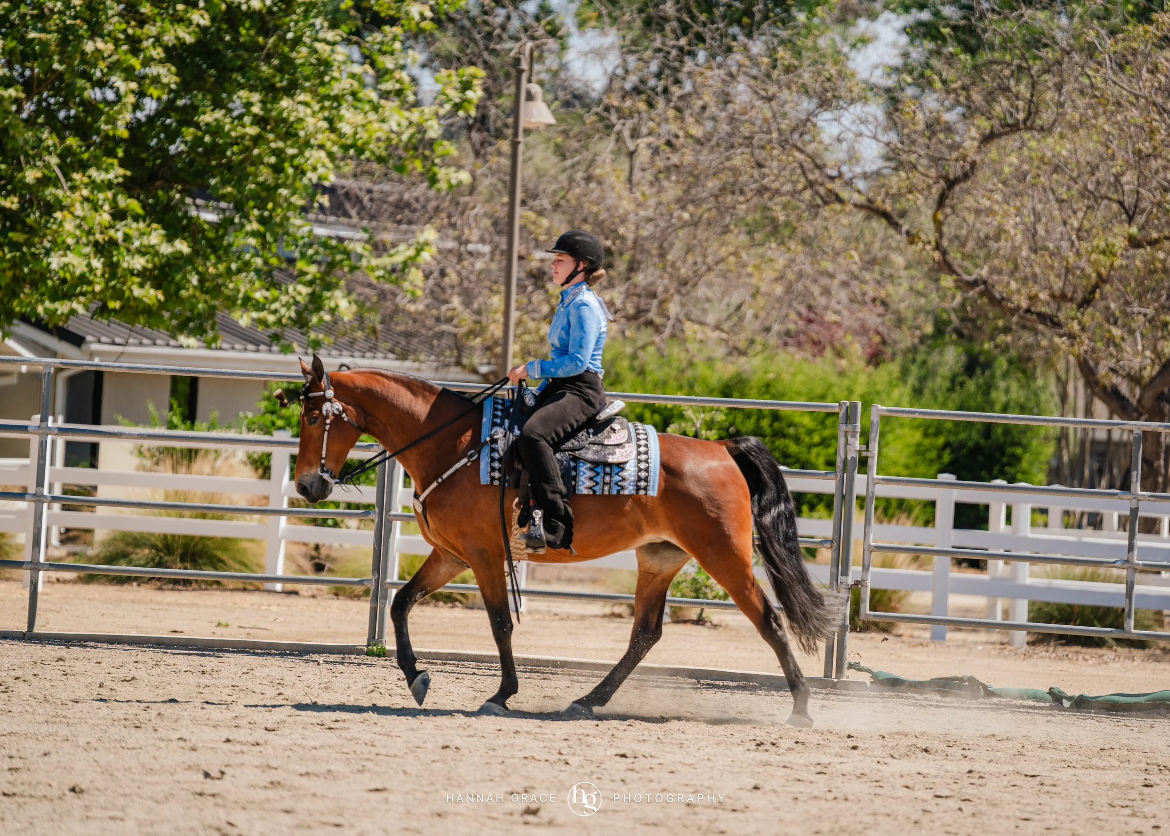PWHA Spring Premier Gaited & All Breed Show