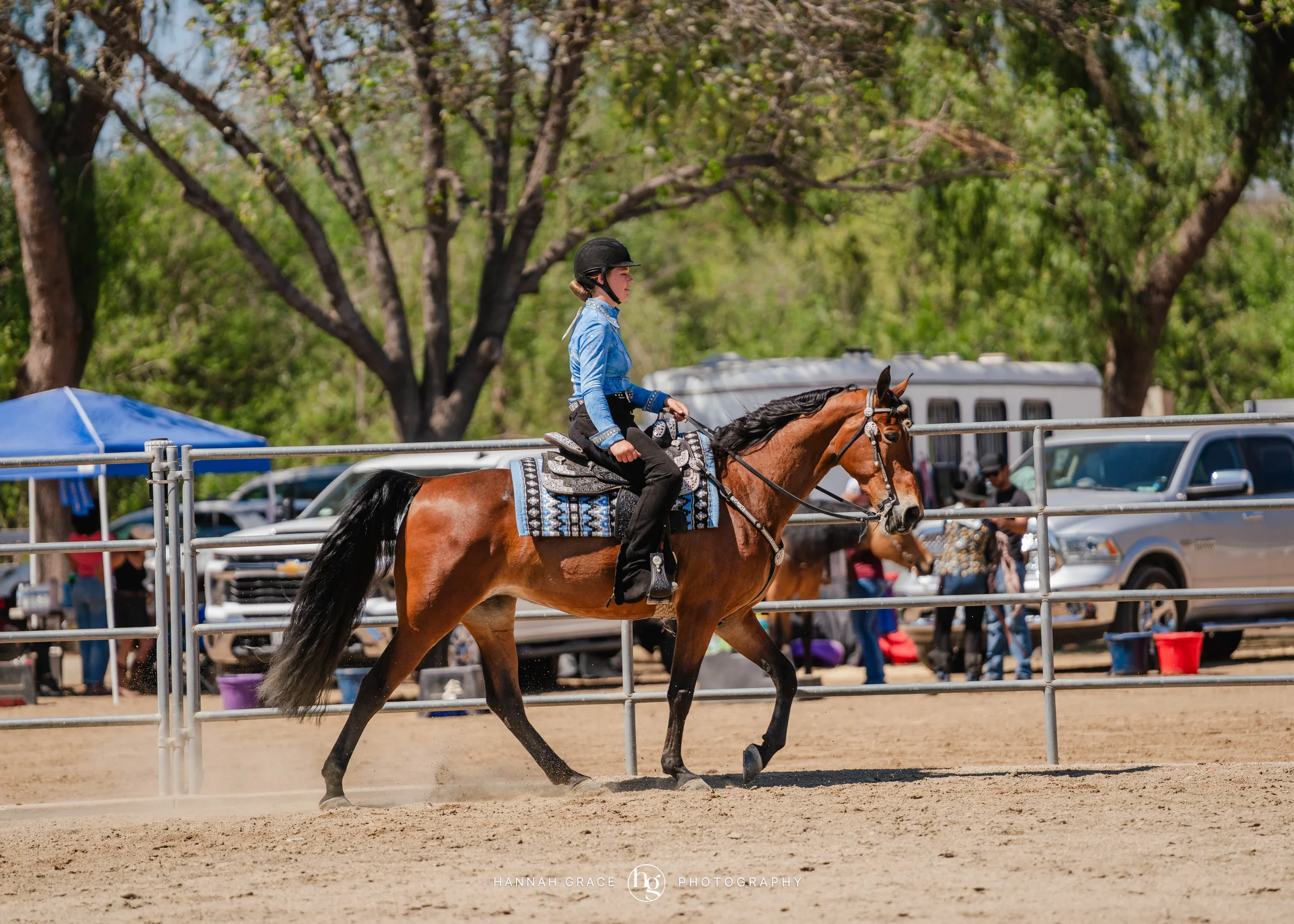 PWHA Spring Premier Gaited & All Breed Show