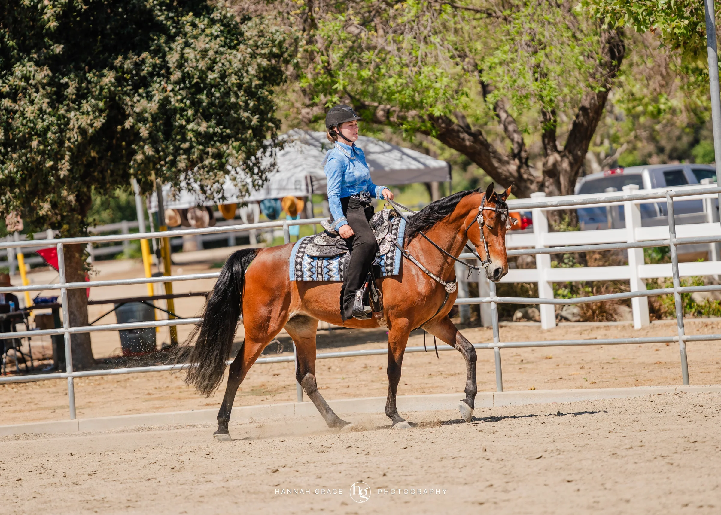 PWHA Spring Premier Gaited & All Breed Show