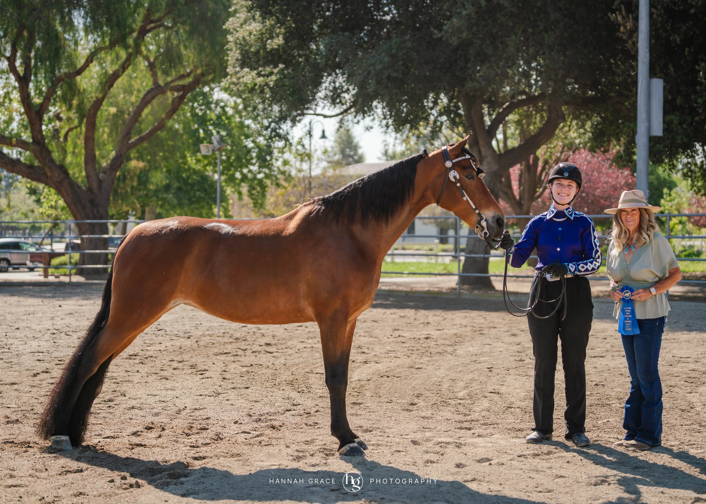 PWHA Spring Premier Gaited & All Breed Show