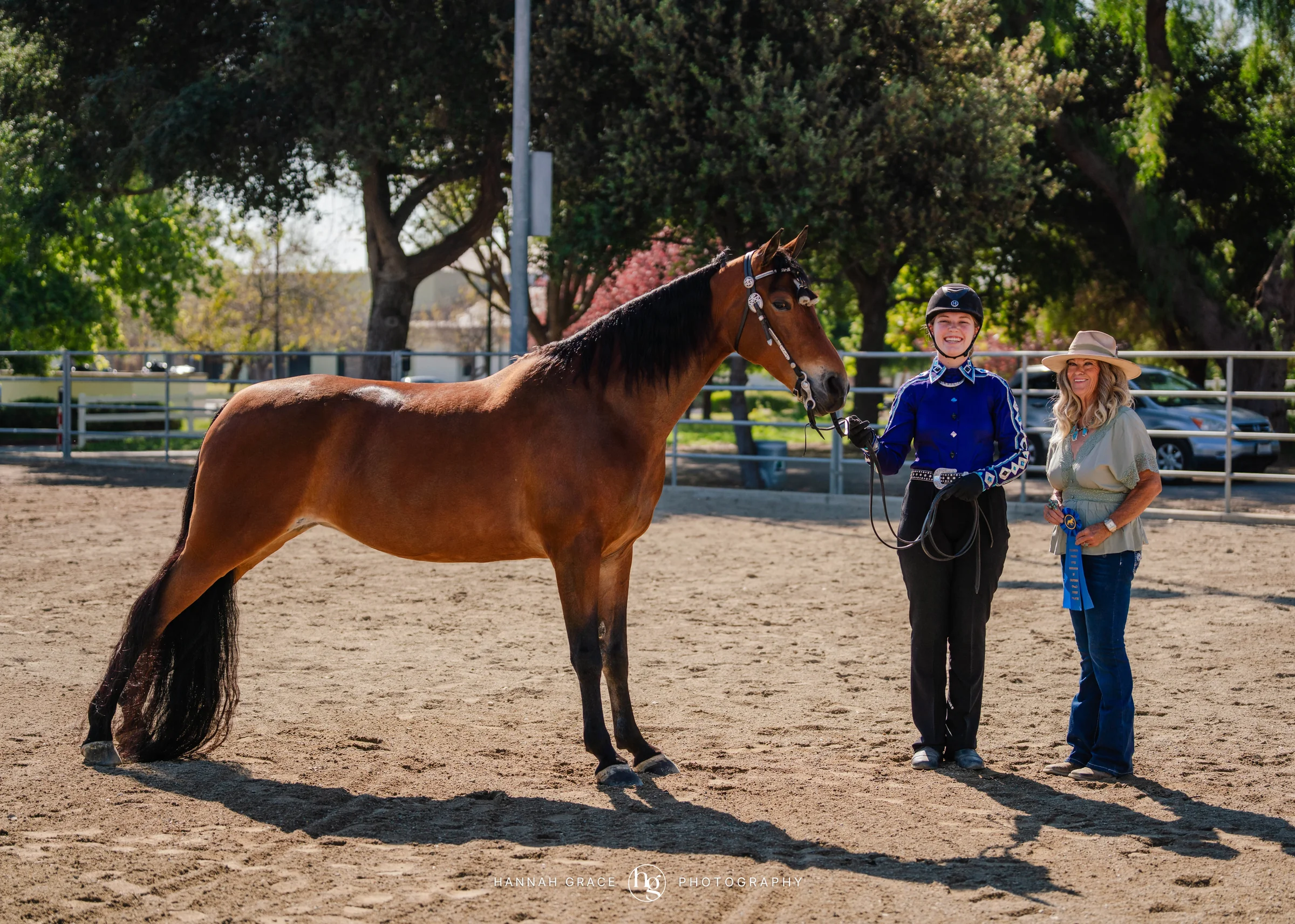 PWHA Spring Premier Gaited & All Breed Show