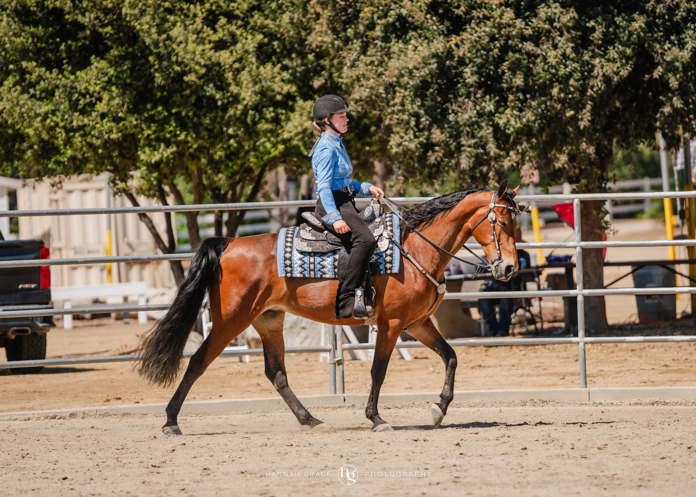 PWHA Spring Premier Gaited & All Breed Show