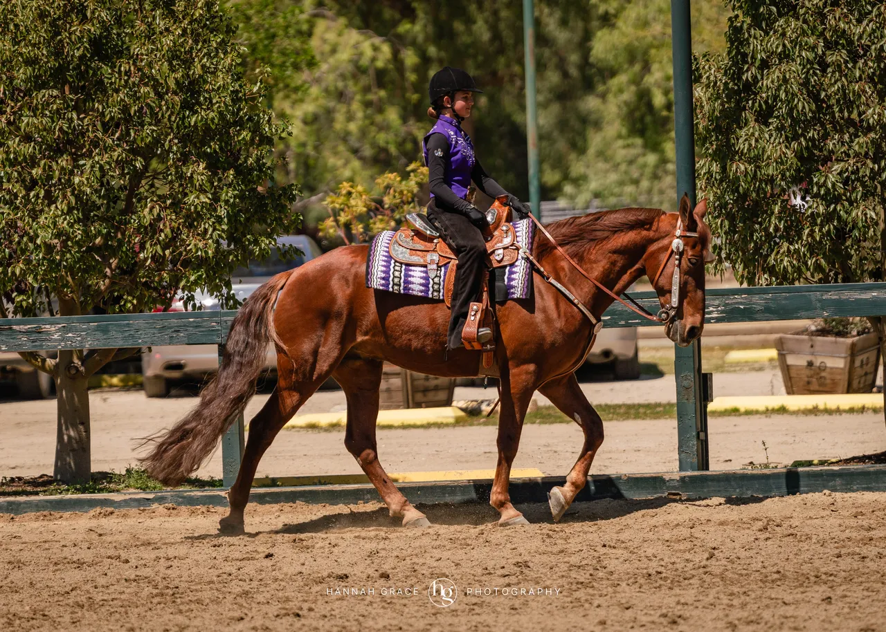 Route 101 April 5-6 2025