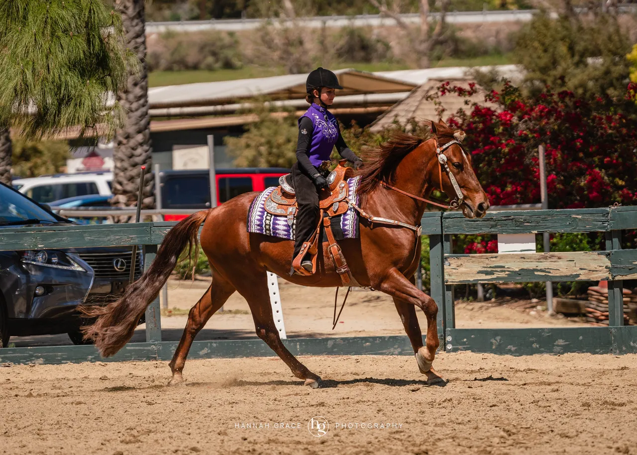 Route 101 April 5-6 2025