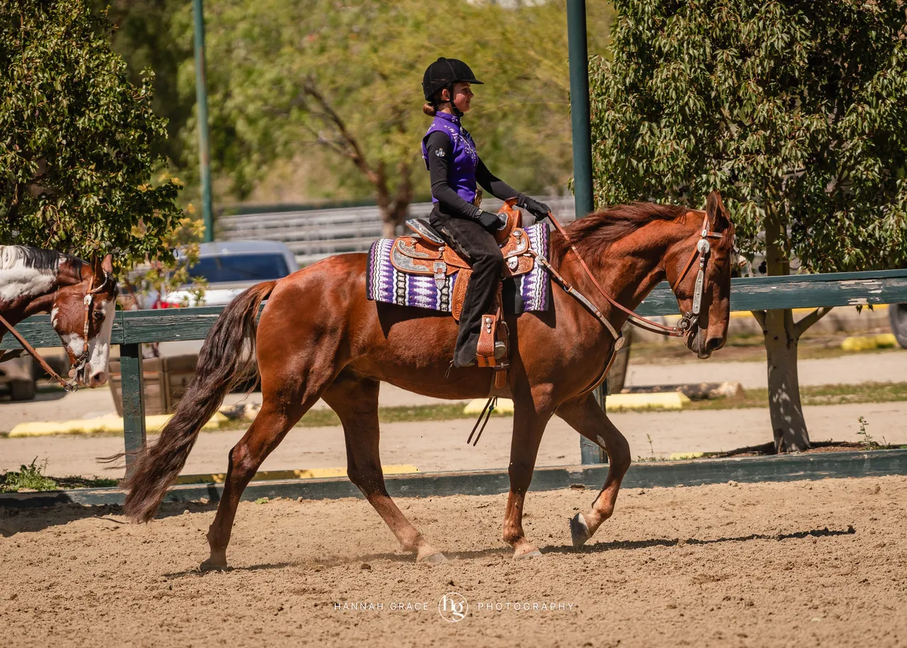 Route 101 April 5-6 2025