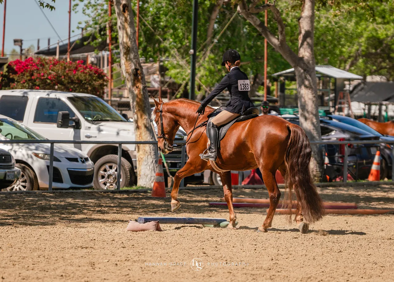 Route 101 April 5-6 2025