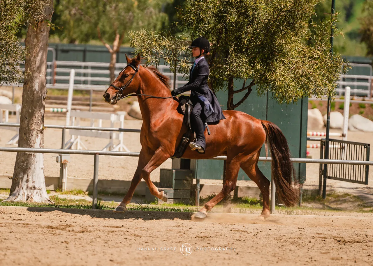 Route 101 April 5-6 2025