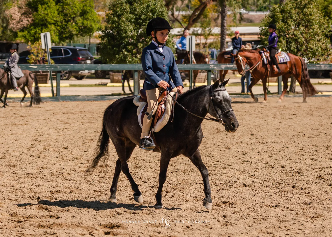 Route 101 April 5-6 2025