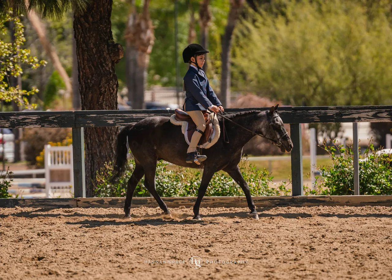 Route 101 April 5-6 2025