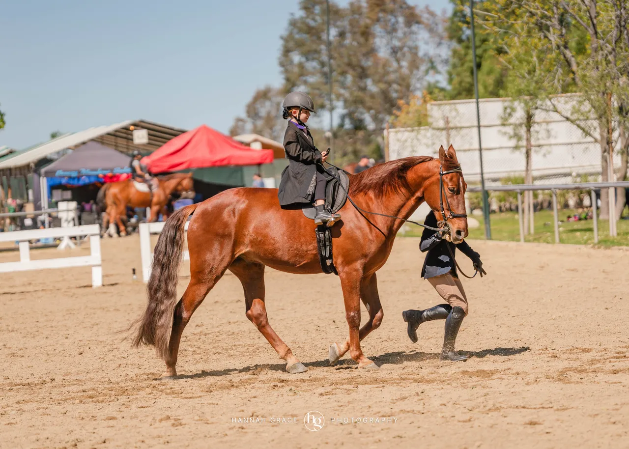 Route 101 April 5-6 2025