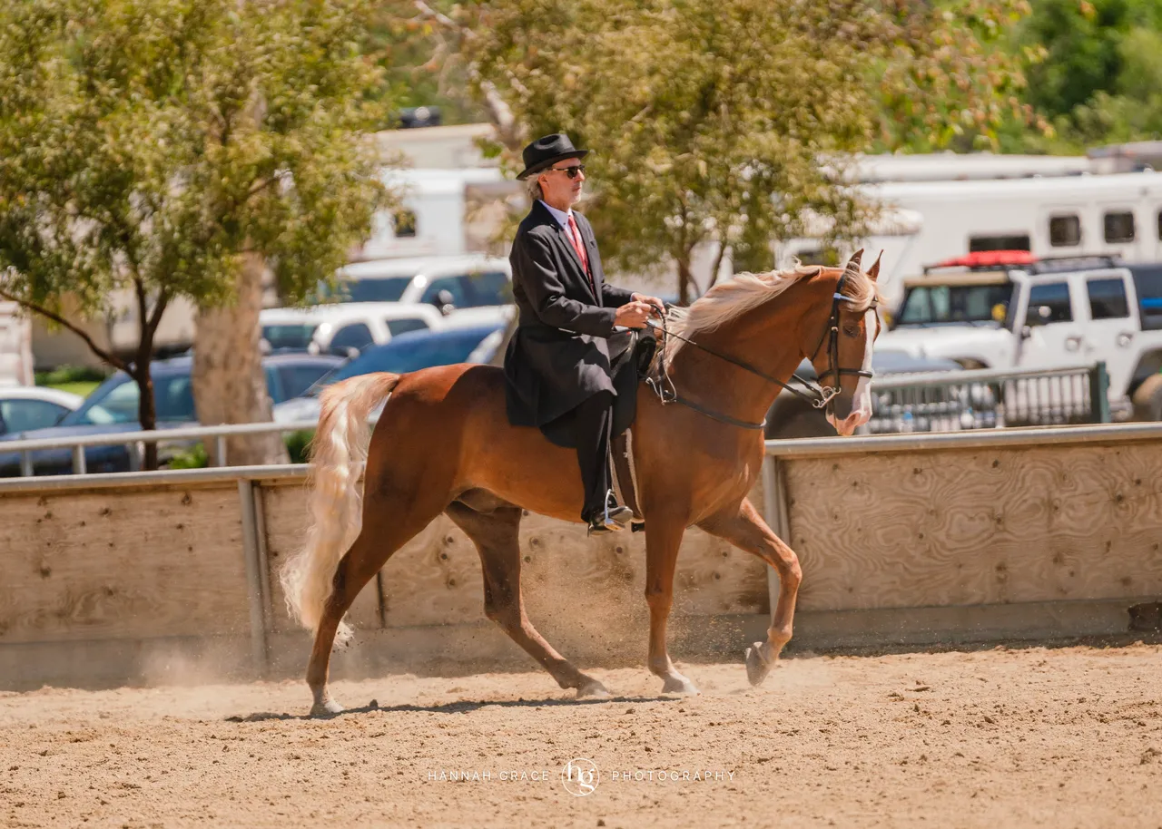 Route 101 April 5-6 2025