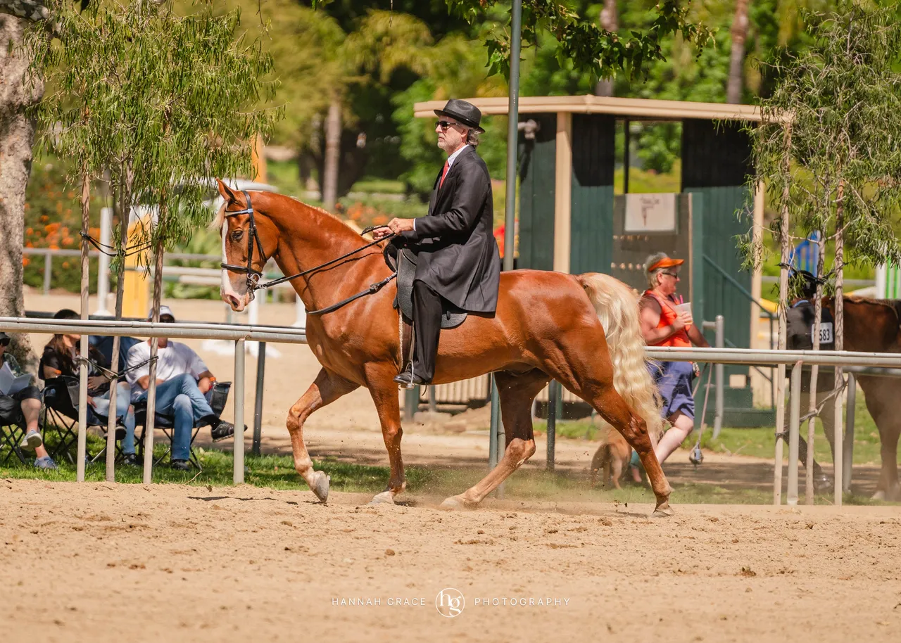 Route 101 April 5-6 2025