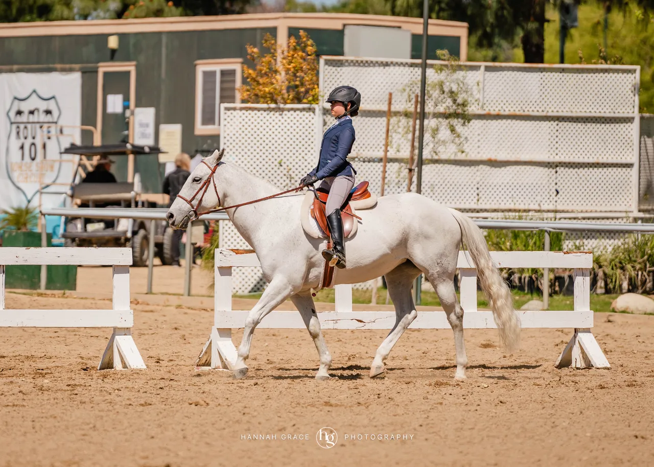 Route 101 April 5-6 2025